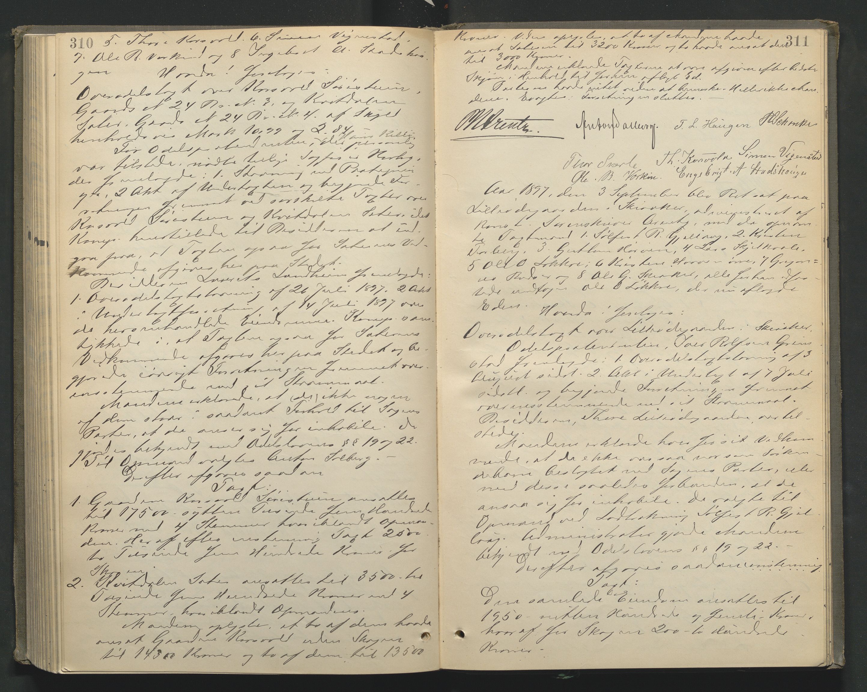 Nord-Gudbrandsdal tingrett, AV/SAH-TING-002/G/Gc/Gcb/L0005: Ekstrarettsprotokoll for åstedssaker, 1889-1900, p. 310-311