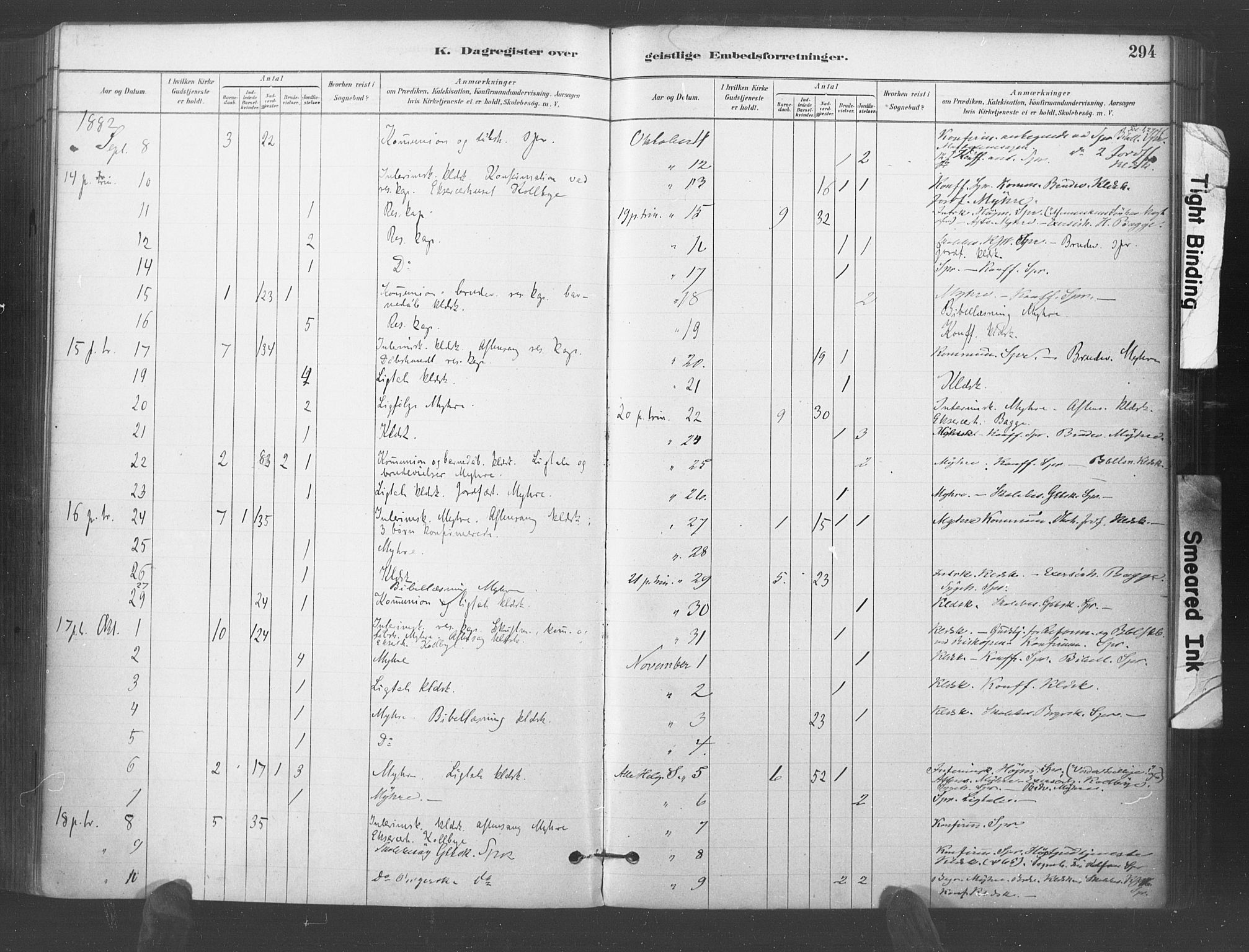 Kristiansand domprosti, AV/SAK-1112-0006/F/Fa/L0018: Parish register (official) no. A 17, 1880-1892, p. 294