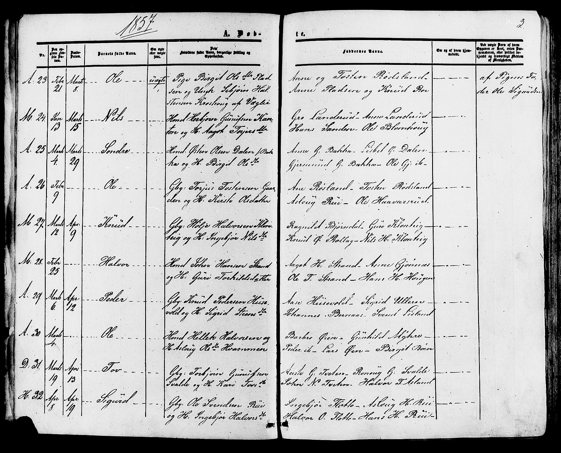 Tinn kirkebøker, SAKO/A-308/F/Fa/L0006: Parish register (official) no. I 6, 1857-1878, p. 3