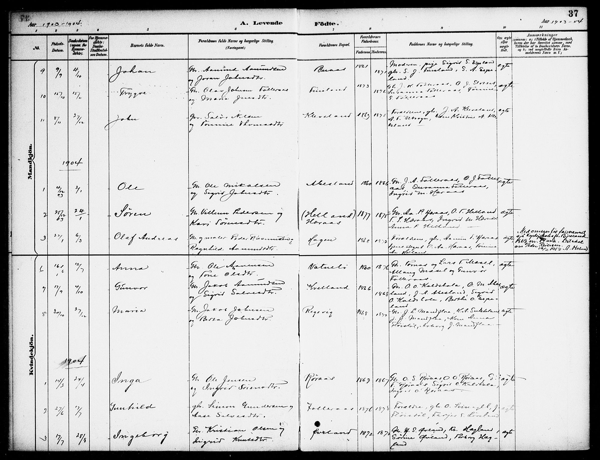 Bjelland sokneprestkontor, AV/SAK-1111-0005/F/Fa/Fab/L0004: Parish register (official) no. A 4, 1887-1920, p. 37