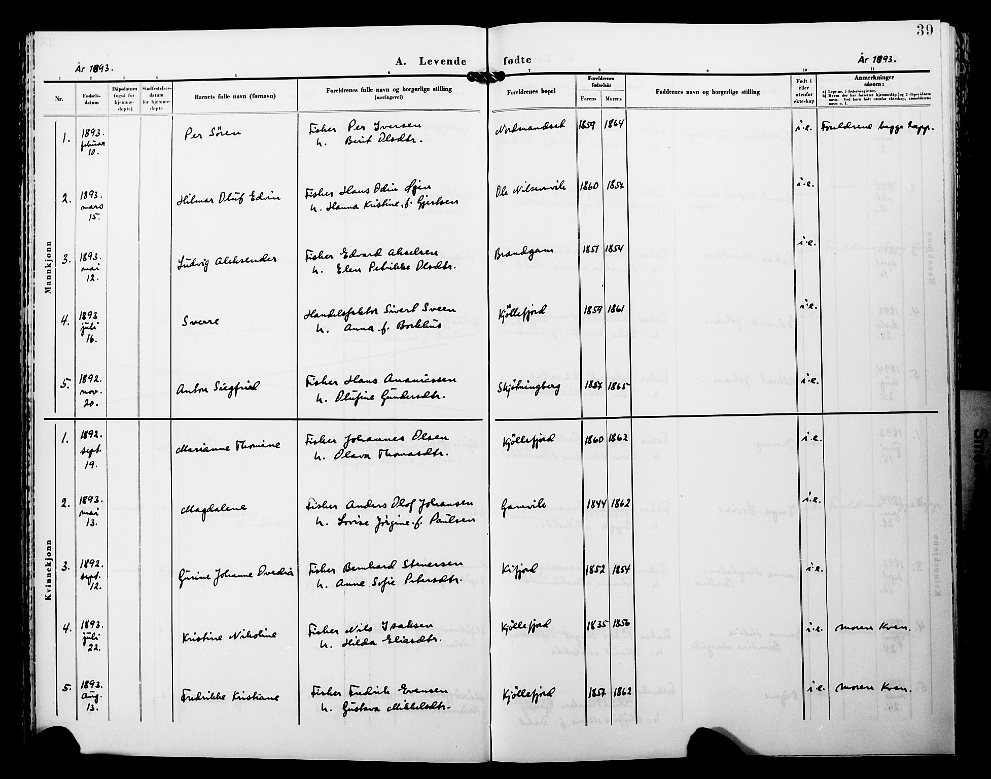 Lebesby sokneprestkontor, SATØ/S-1353/H/Ha/L0005kirke: Parish register (official) no. 5, 1870-1902, p. 39