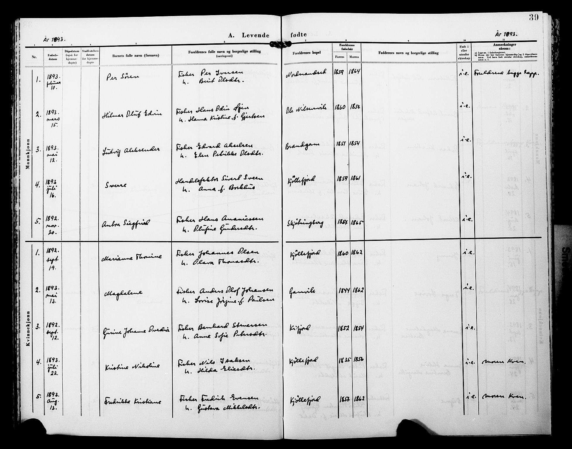 Lebesby sokneprestkontor, AV/SATØ-S-1353/H/Ha/L0005kirke: Parish register (official) no. 5, 1870-1902, p. 39