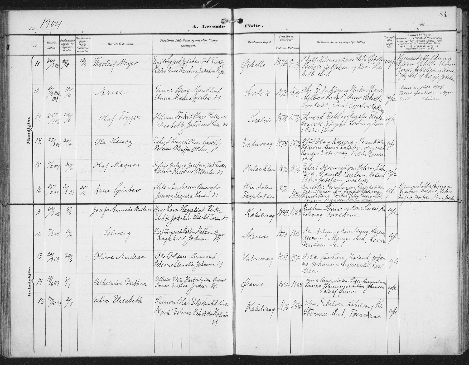 Ministerialprotokoller, klokkerbøker og fødselsregistre - Nordland, AV/SAT-A-1459/874/L1062: Parish register (official) no. 874A06, 1899-1907, p. 84