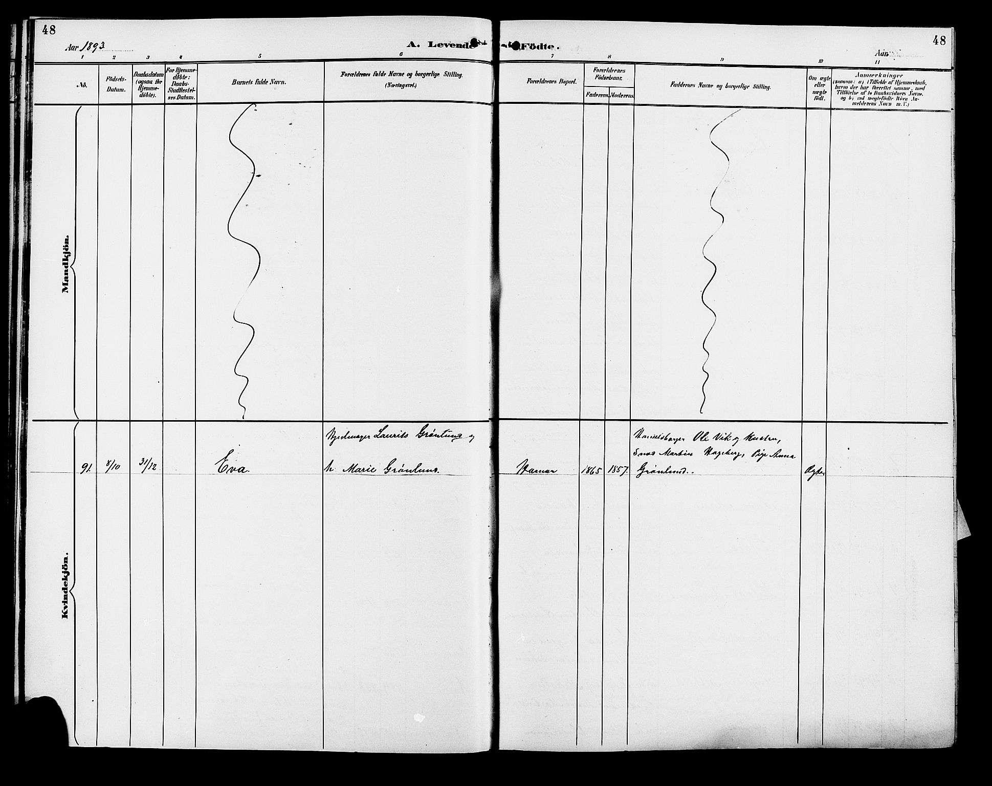 Vang prestekontor, Hedmark, AV/SAH-PREST-008/H/Ha/Hab/L0013: Parish register (copy) no. 13, 1890-1899, p. 48