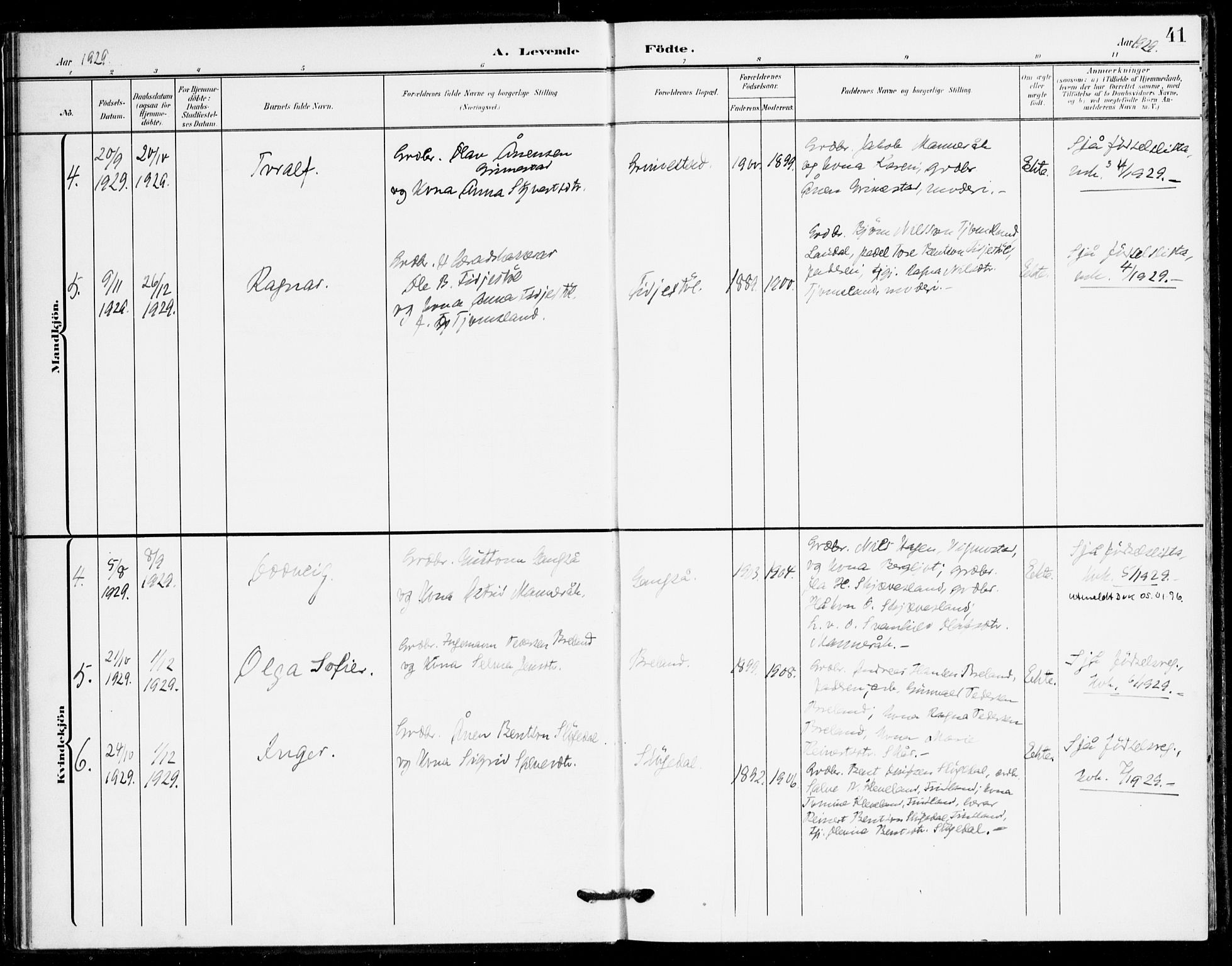 Holum sokneprestkontor, SAK/1111-0022/F/Fa/Fac/L0005: Parish register (official) no. A 5, 1908-1930, p. 41