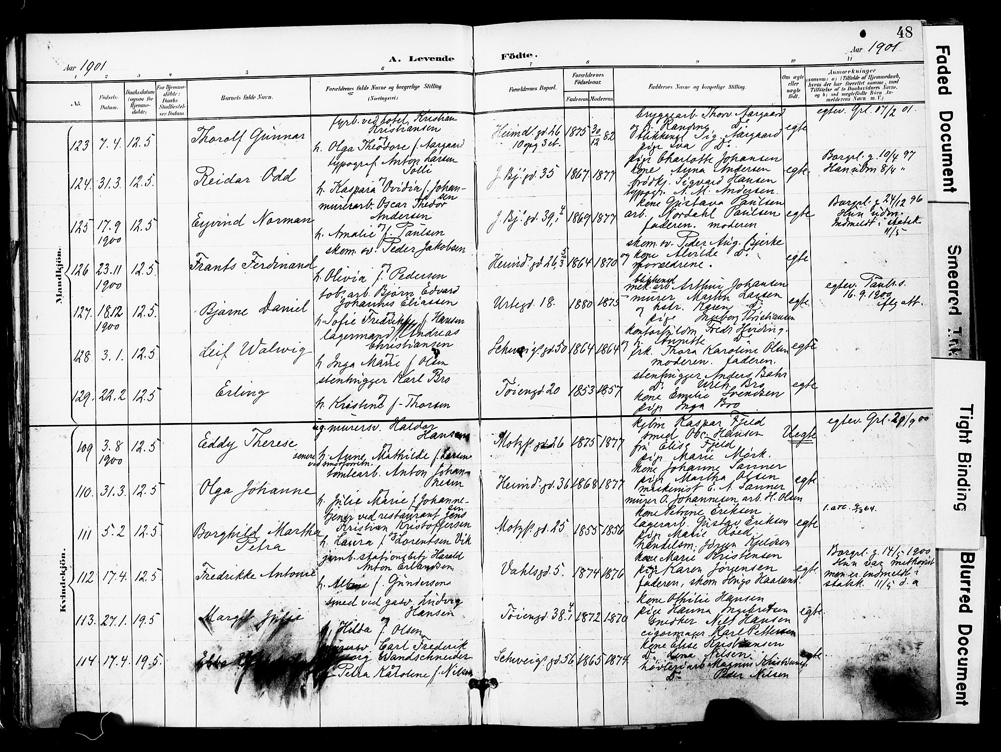 Grønland prestekontor Kirkebøker, AV/SAO-A-10848/F/Fa/L0014: Parish register (official) no. 14, 1900-1911, p. 48