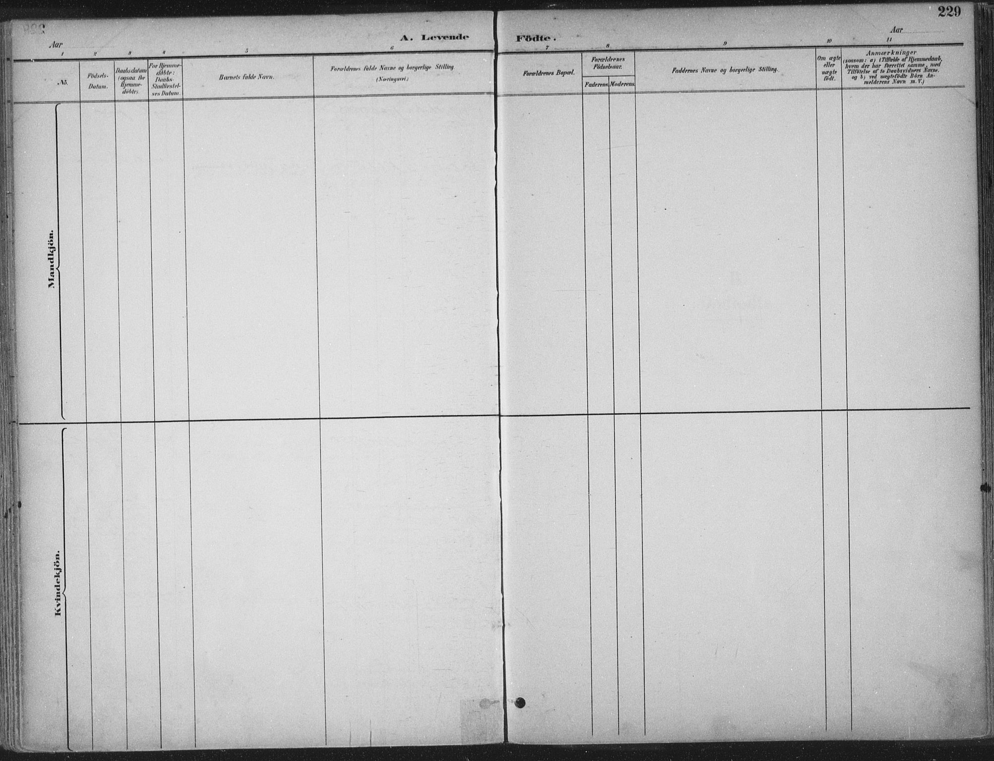 Ministerialprotokoller, klokkerbøker og fødselsregistre - Sør-Trøndelag, SAT/A-1456/601/L0062: Parish register (official) no. 601A30, 1891-1911, p. 229