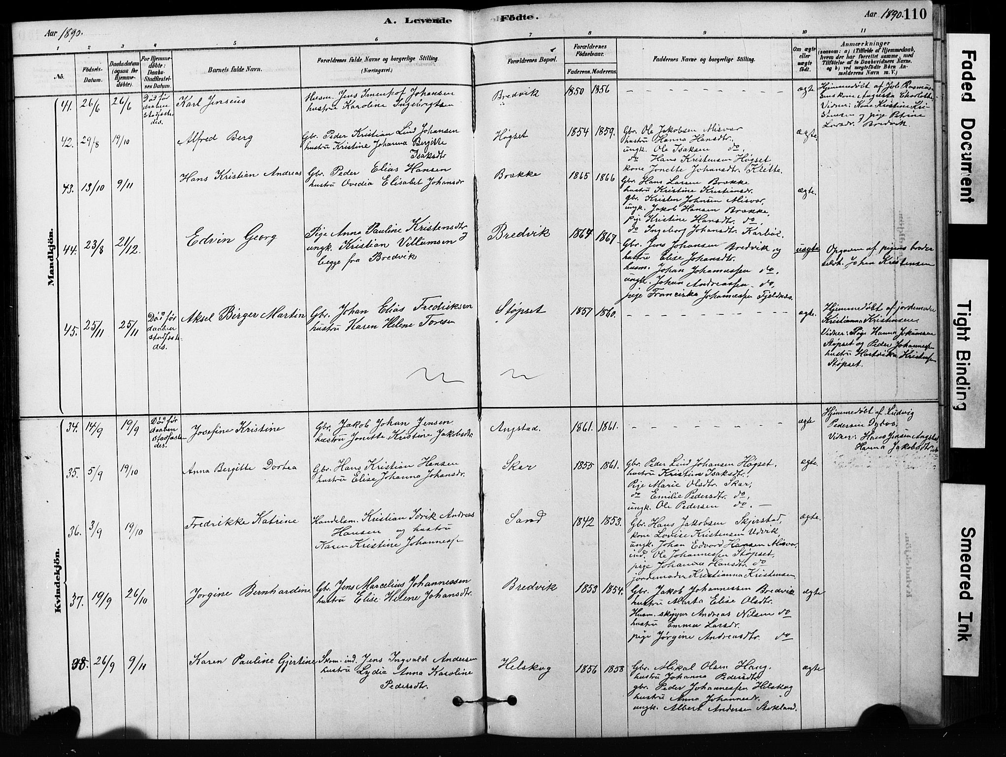 Ministerialprotokoller, klokkerbøker og fødselsregistre - Nordland, AV/SAT-A-1459/852/L0754: Parish register (copy) no. 852C05, 1878-1894, p. 110