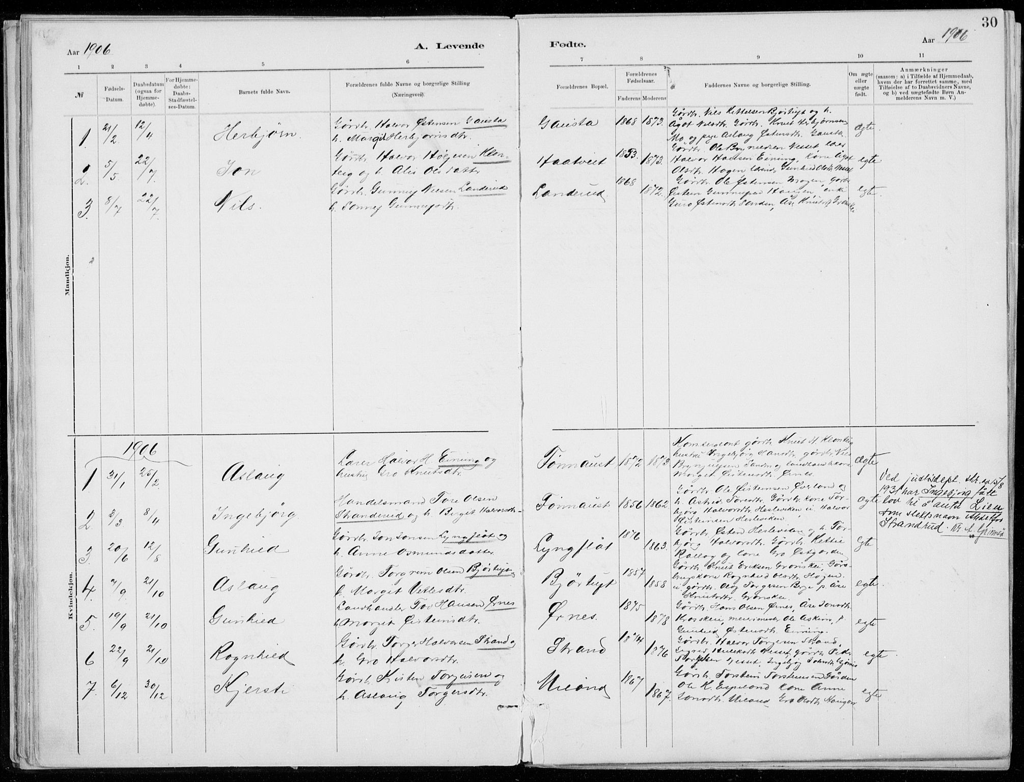 Tinn kirkebøker, AV/SAKO-A-308/F/Fb/L0002: Parish register (official) no. II 2, 1878-1917, p. 30