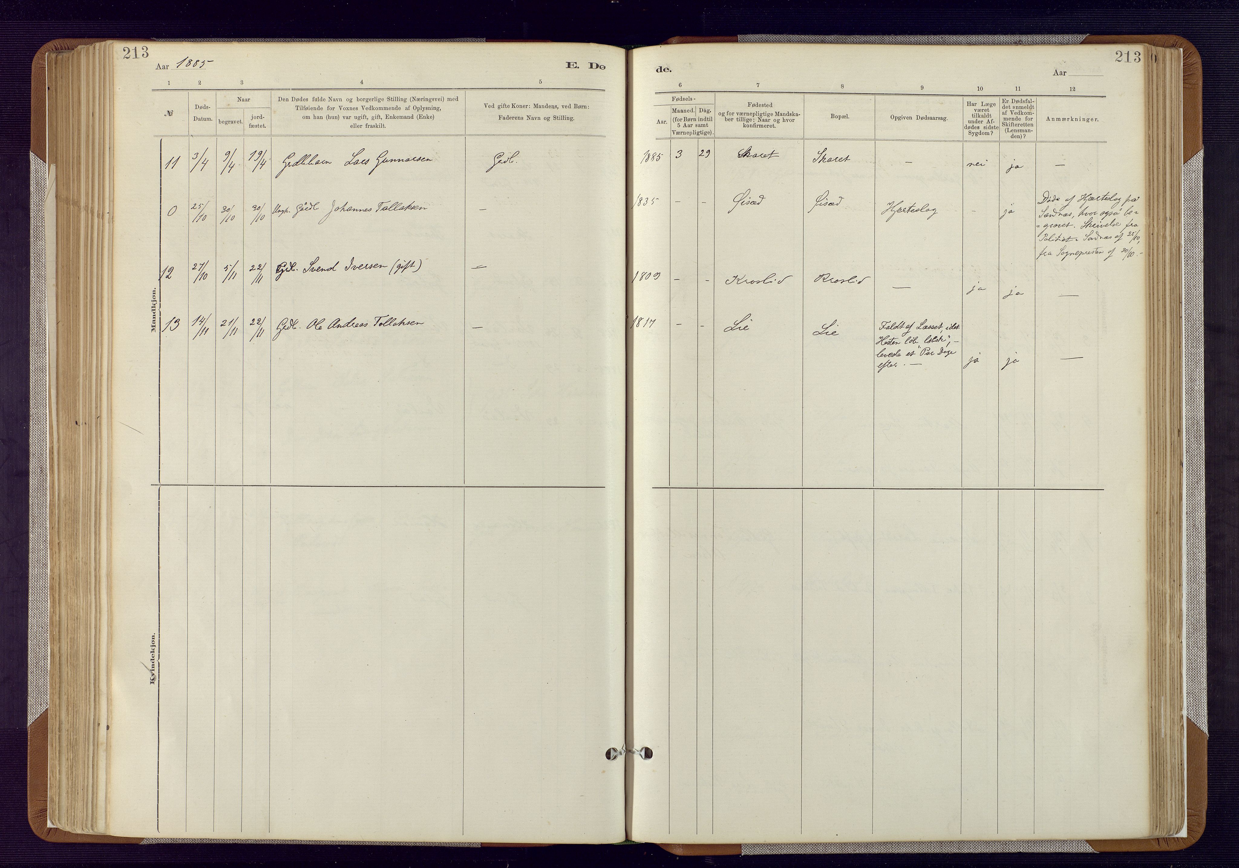 Bakke sokneprestkontor, AV/SAK-1111-0002/F/Fa/Fab/L0003: Parish register (official) no. A 3, 1884-1921, p. 213