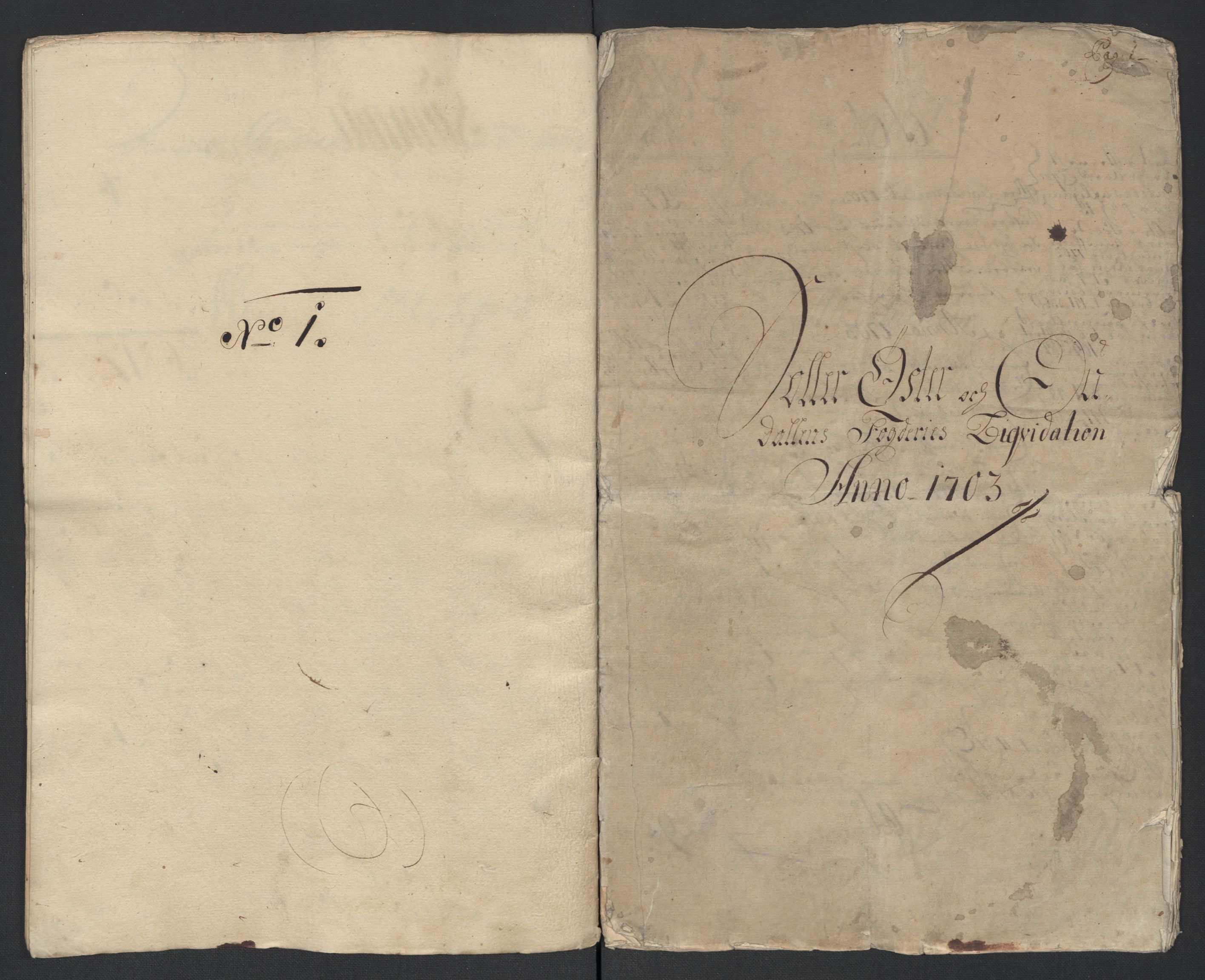 Rentekammeret inntil 1814, Reviderte regnskaper, Fogderegnskap, AV/RA-EA-4092/R13/L0841: Fogderegnskap Solør, Odal og Østerdal, 1703, p. 21