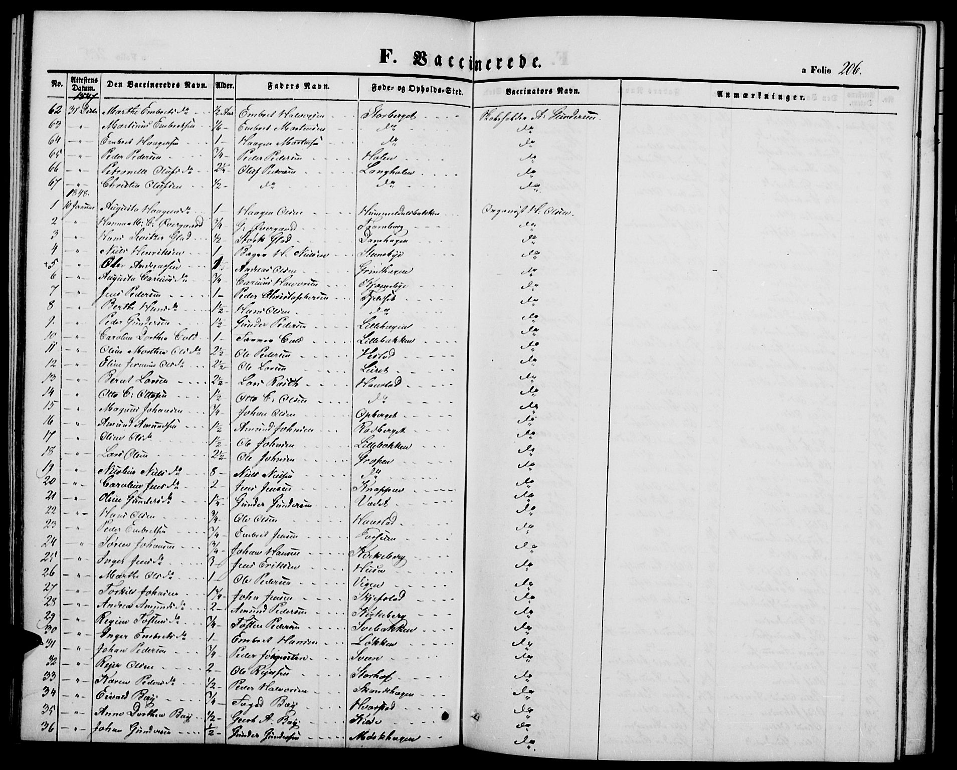 Elverum prestekontor, SAH/PREST-044/H/Ha/Hab/L0002: Parish register (copy) no. 2, 1845-1855, p. 206