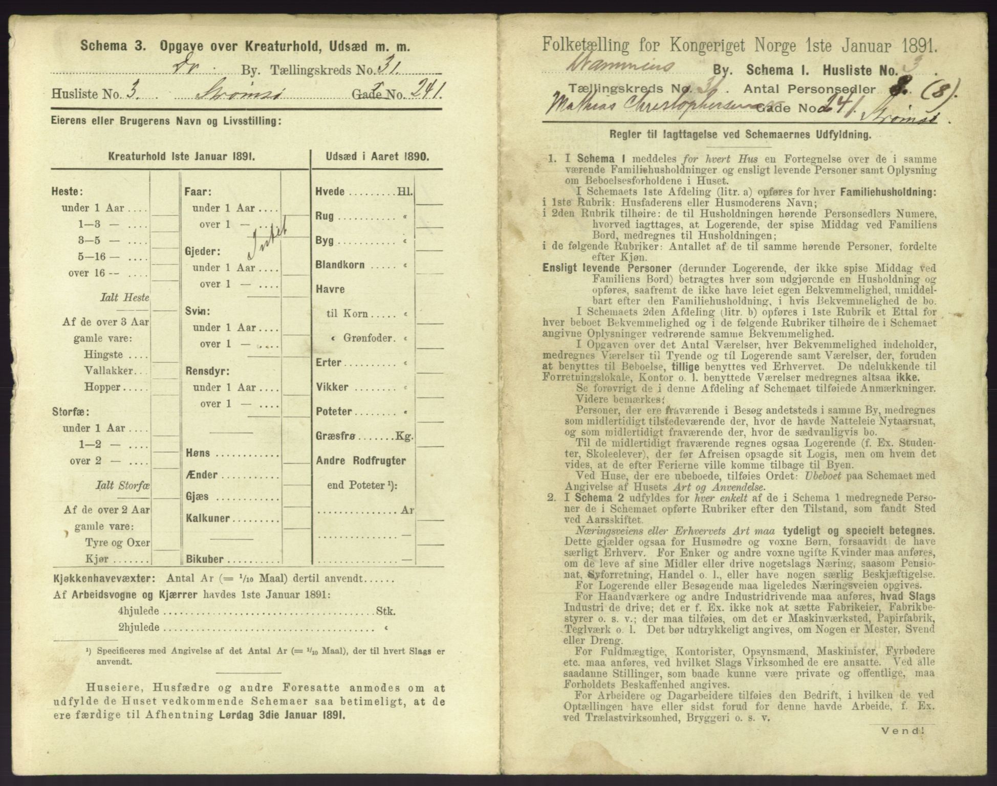 RA, 1891 census for 0602 Drammen, 1891, p. 2663