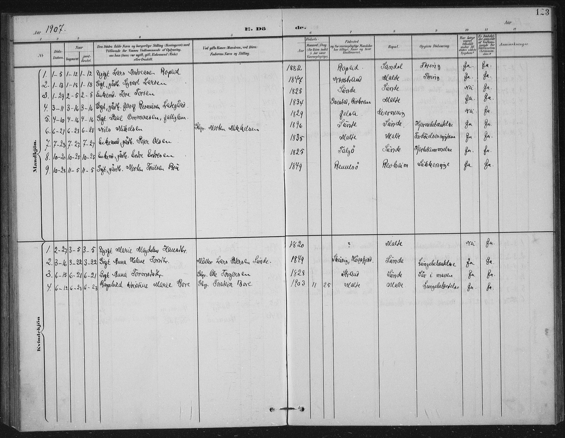 Håland sokneprestkontor, AV/SAST-A-101802/002/B/L0001: Parish register (official) no. A 13, 1901-1923, p. 123