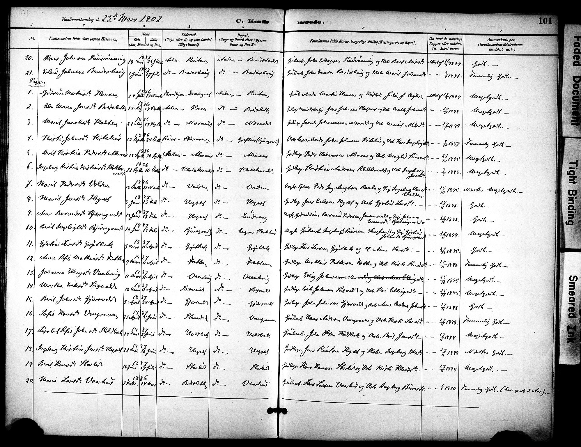 Ministerialprotokoller, klokkerbøker og fødselsregistre - Sør-Trøndelag, SAT/A-1456/686/L0984: Parish register (official) no. 686A02, 1891-1906, p. 101
