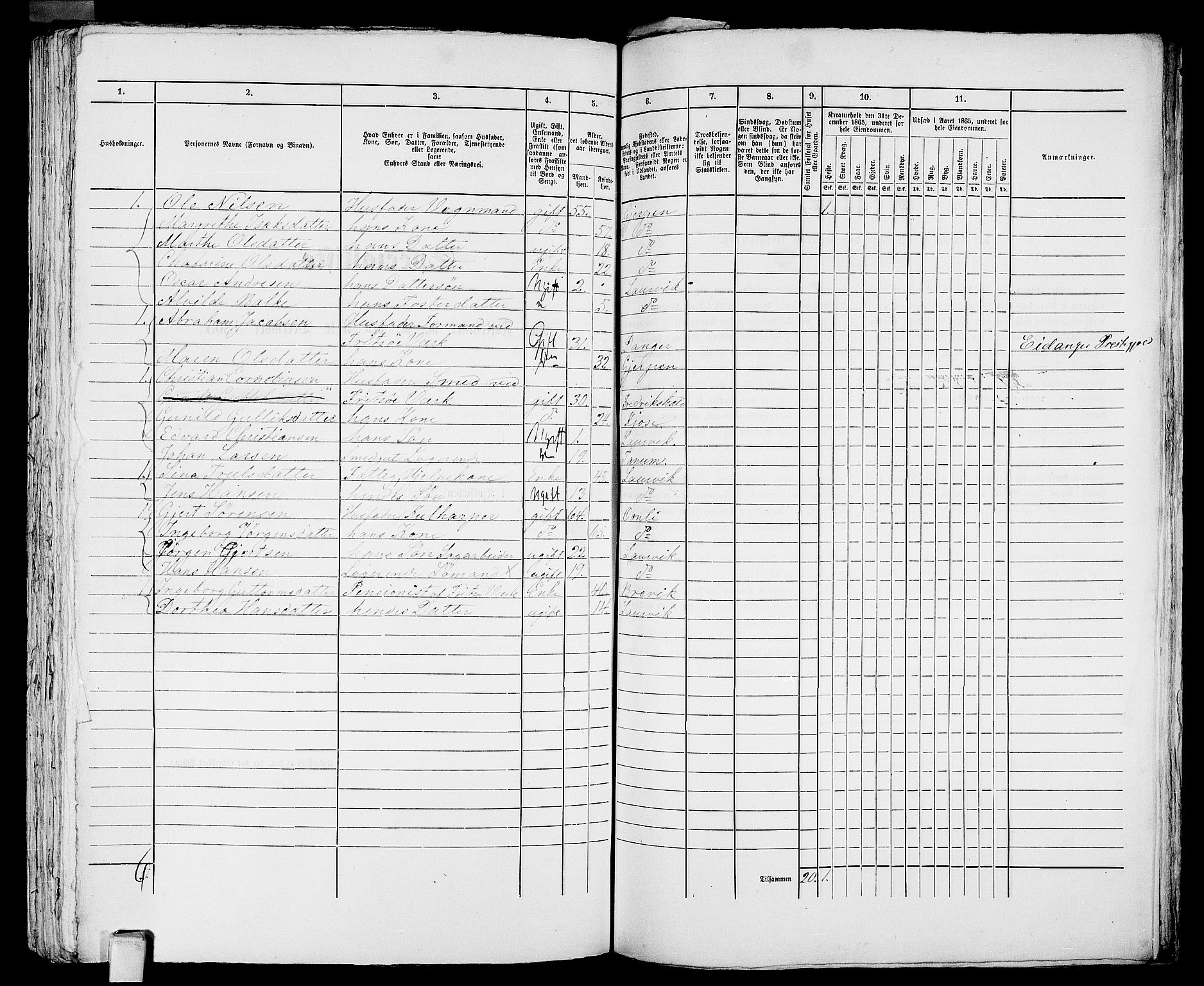 RA, 1865 census for Larvik, 1865, p. 1076