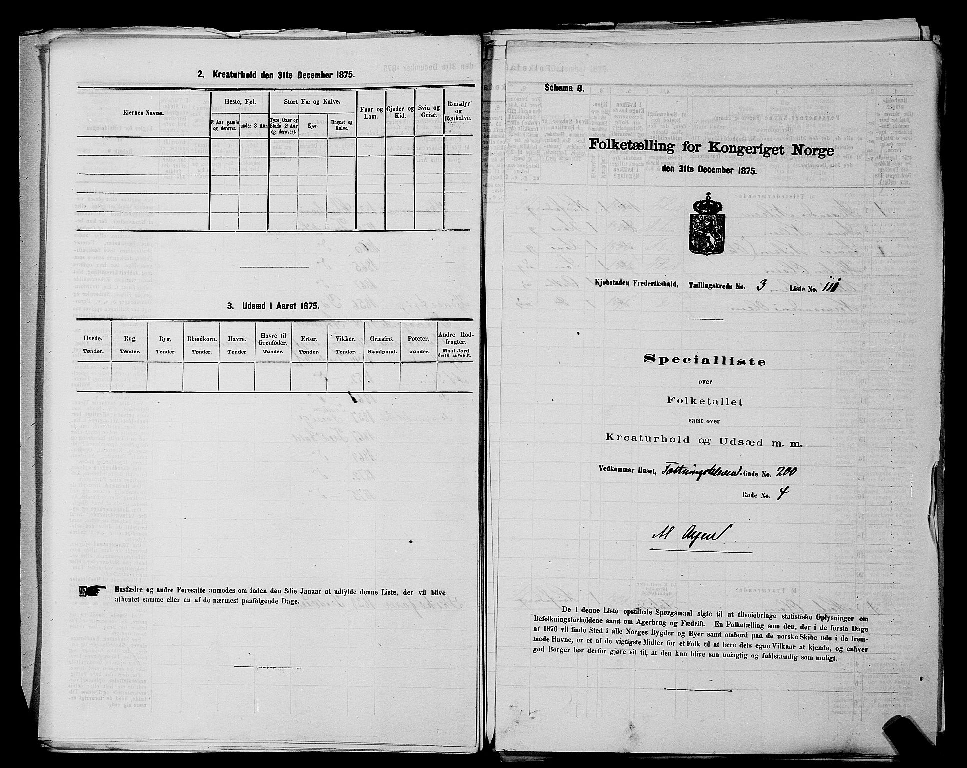 RA, 1875 census for 0101P Fredrikshald, 1875, p. 260