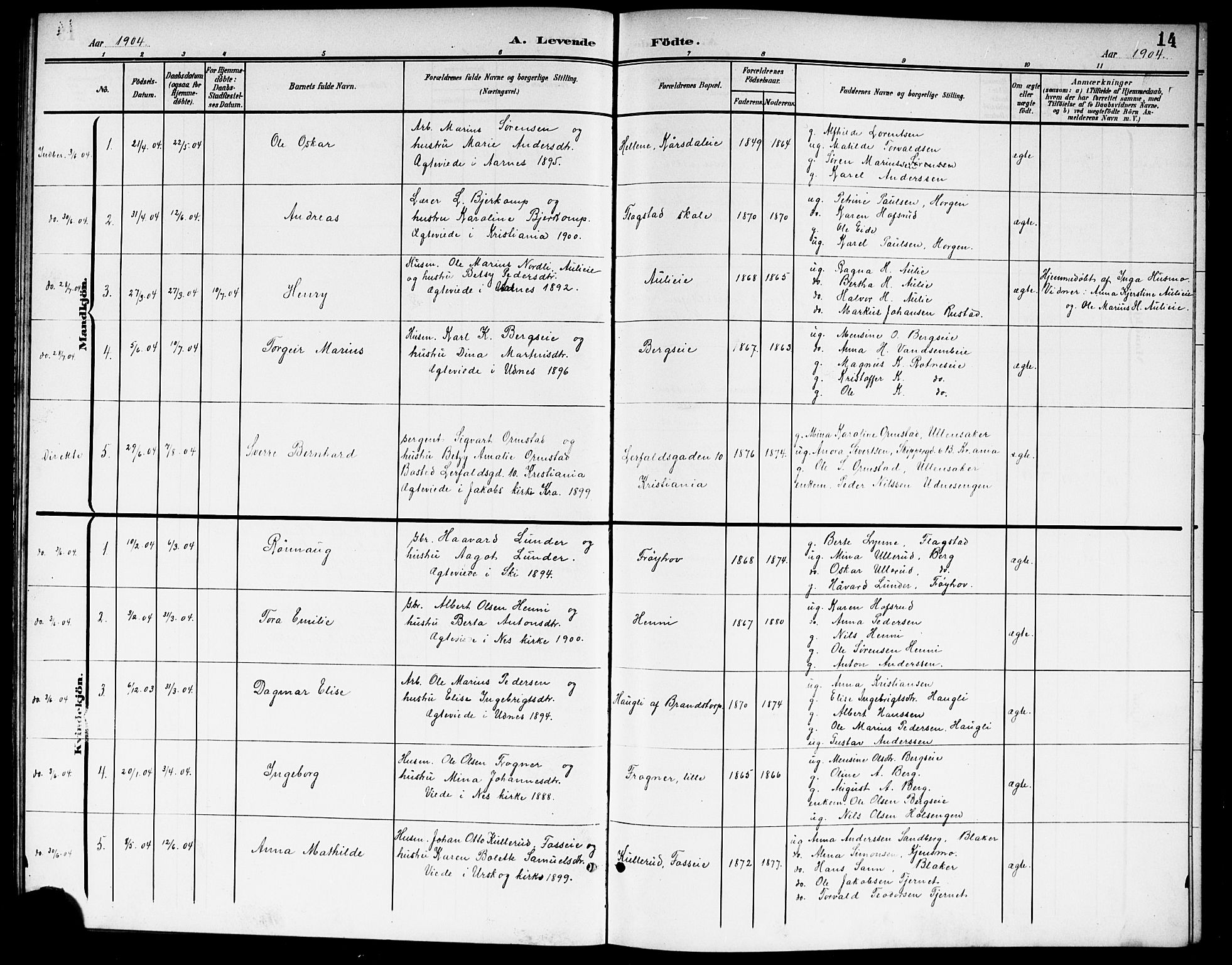Nes prestekontor Kirkebøker, SAO/A-10410/G/Gb/L0001: Parish register (copy) no. II 1, 1901-1917, p. 14