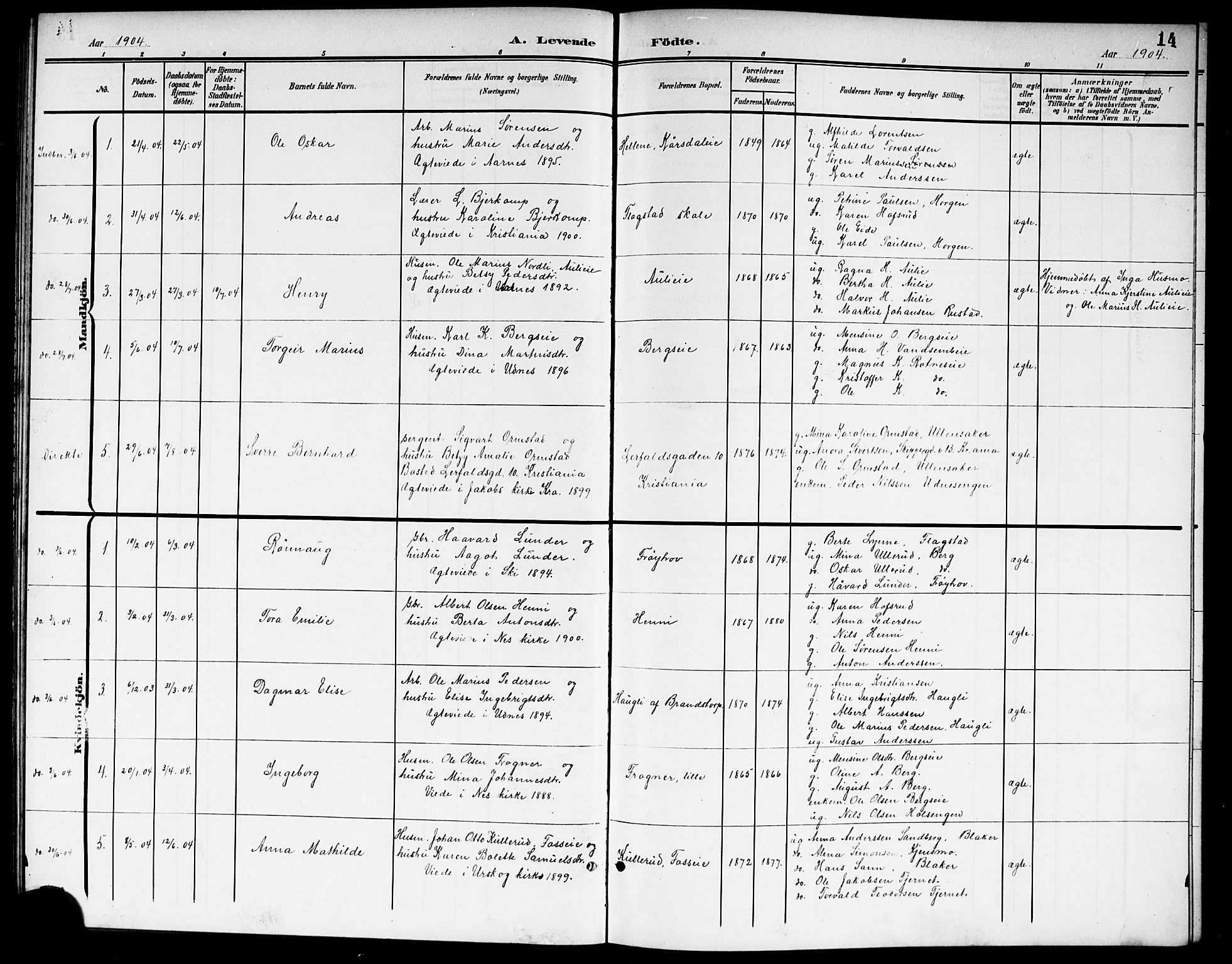 Nes prestekontor Kirkebøker, AV/SAO-A-10410/G/Gb/L0001: Parish register (copy) no. II 1, 1901-1917, p. 14