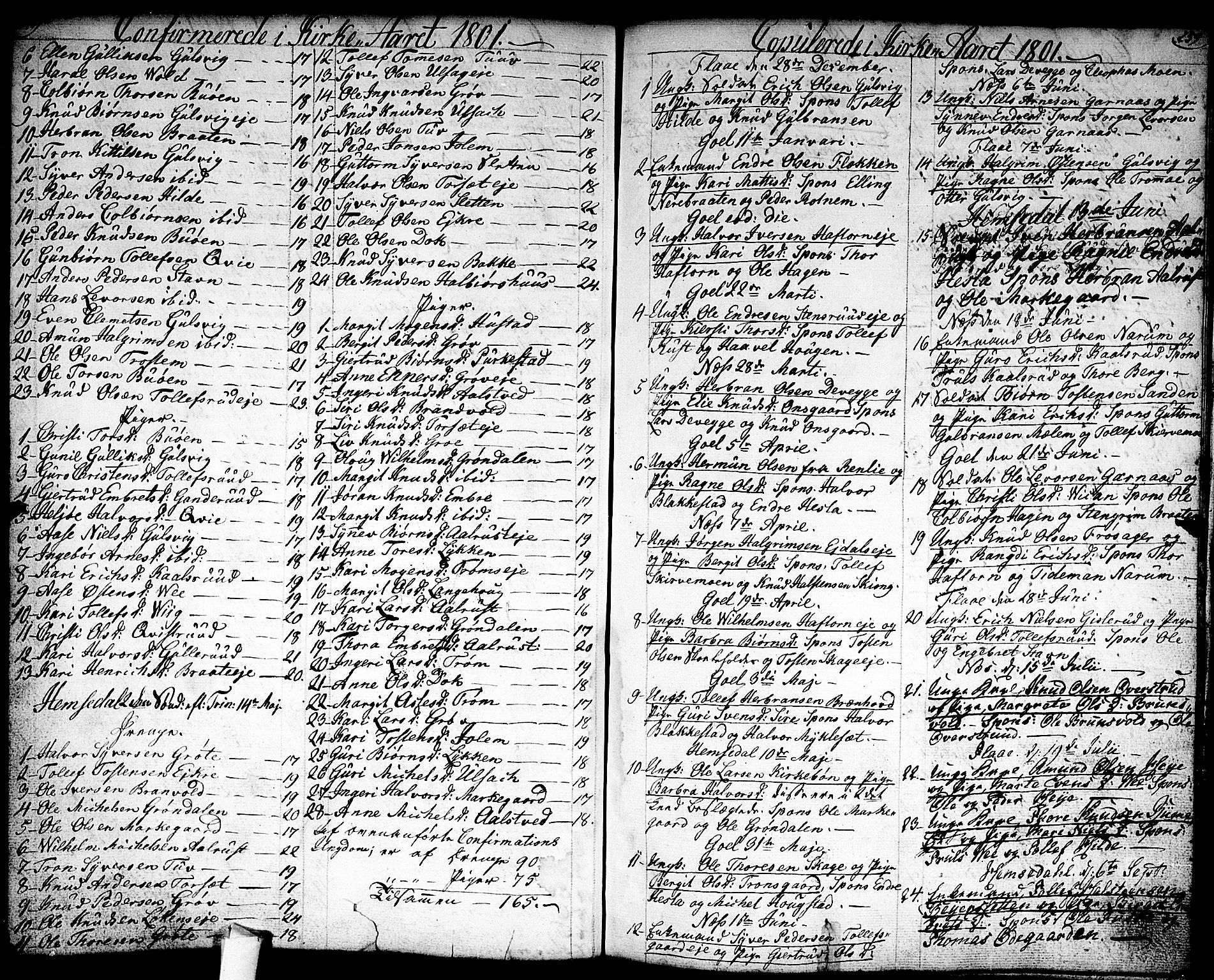 Nes kirkebøker, AV/SAKO-A-236/F/Fa/L0005: Parish register (official) no. 5, 1787-1807, p. 258-259