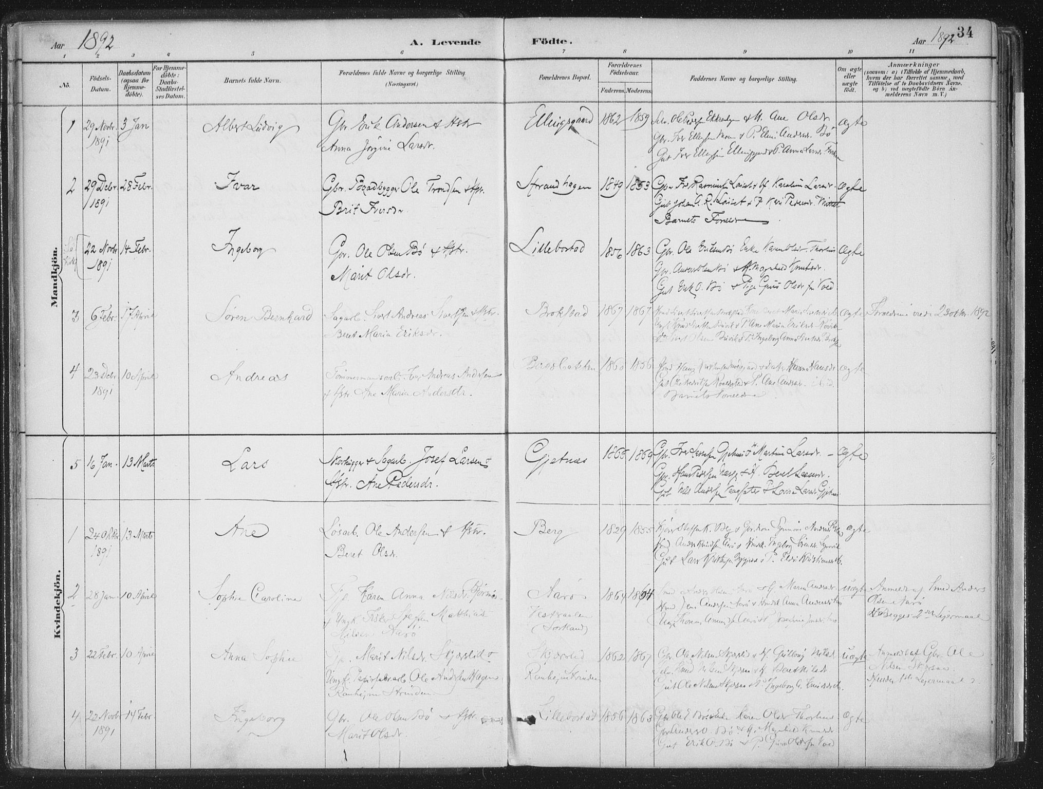 Ministerialprotokoller, klokkerbøker og fødselsregistre - Møre og Romsdal, SAT/A-1454/555/L0658: Parish register (official) no. 555A09, 1887-1917, p. 34