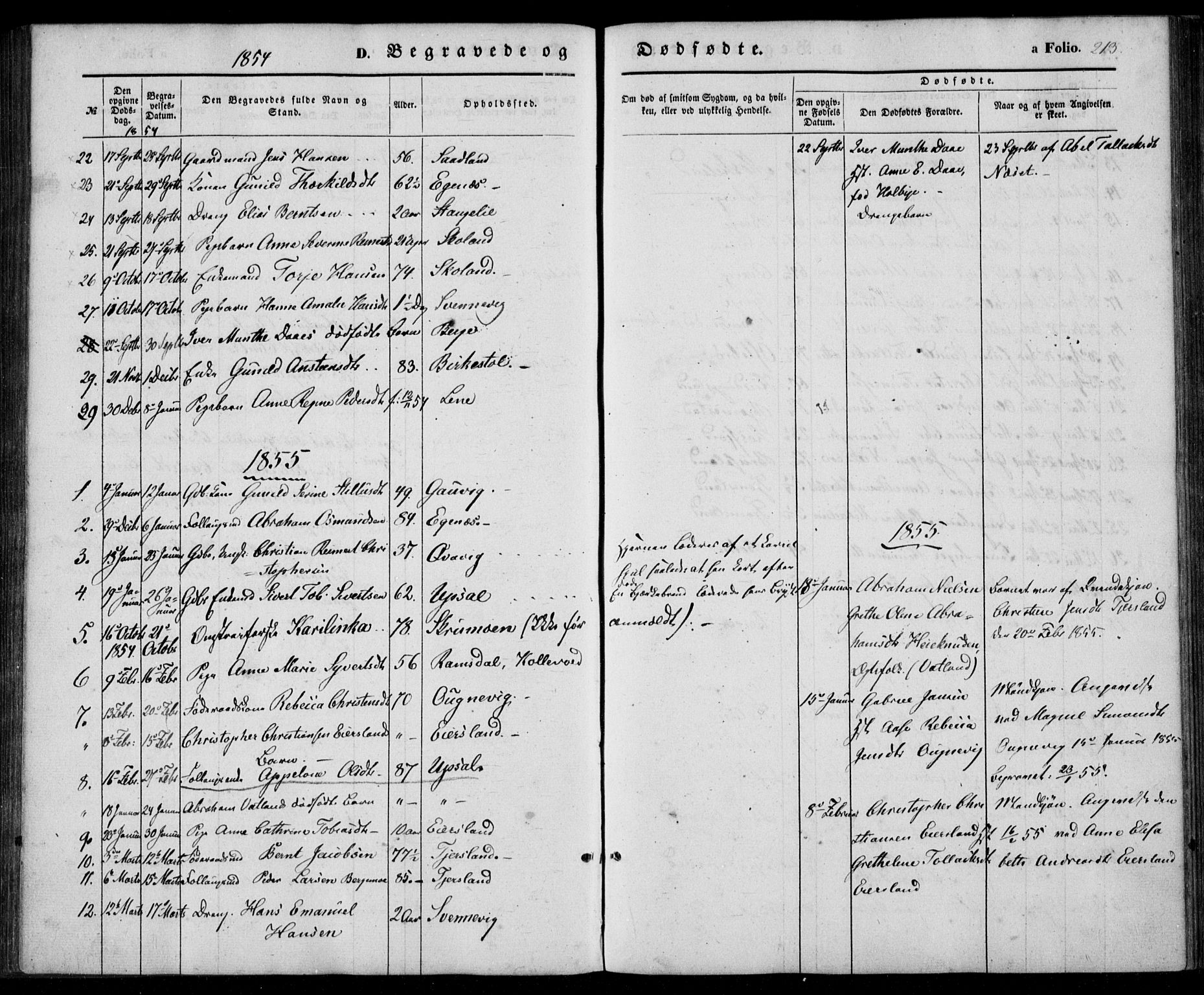 Lyngdal sokneprestkontor, SAK/1111-0029/F/Fa/Fac/L0009: Parish register (official) no. A 9, 1852-1864, p. 213