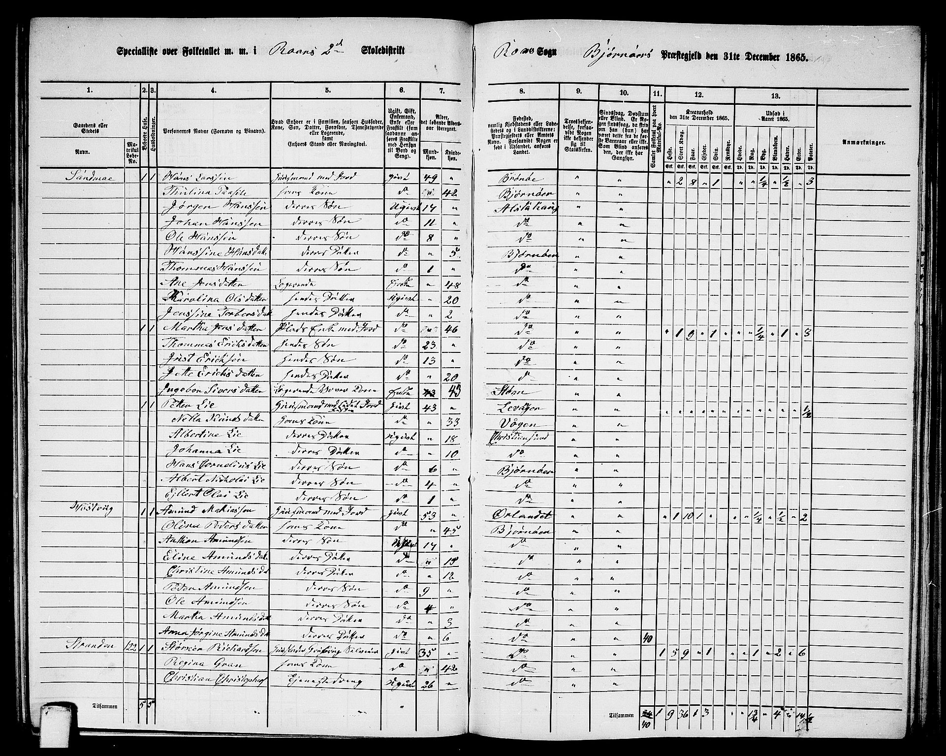 RA, 1865 census for Bjørnør, 1865, p. 107