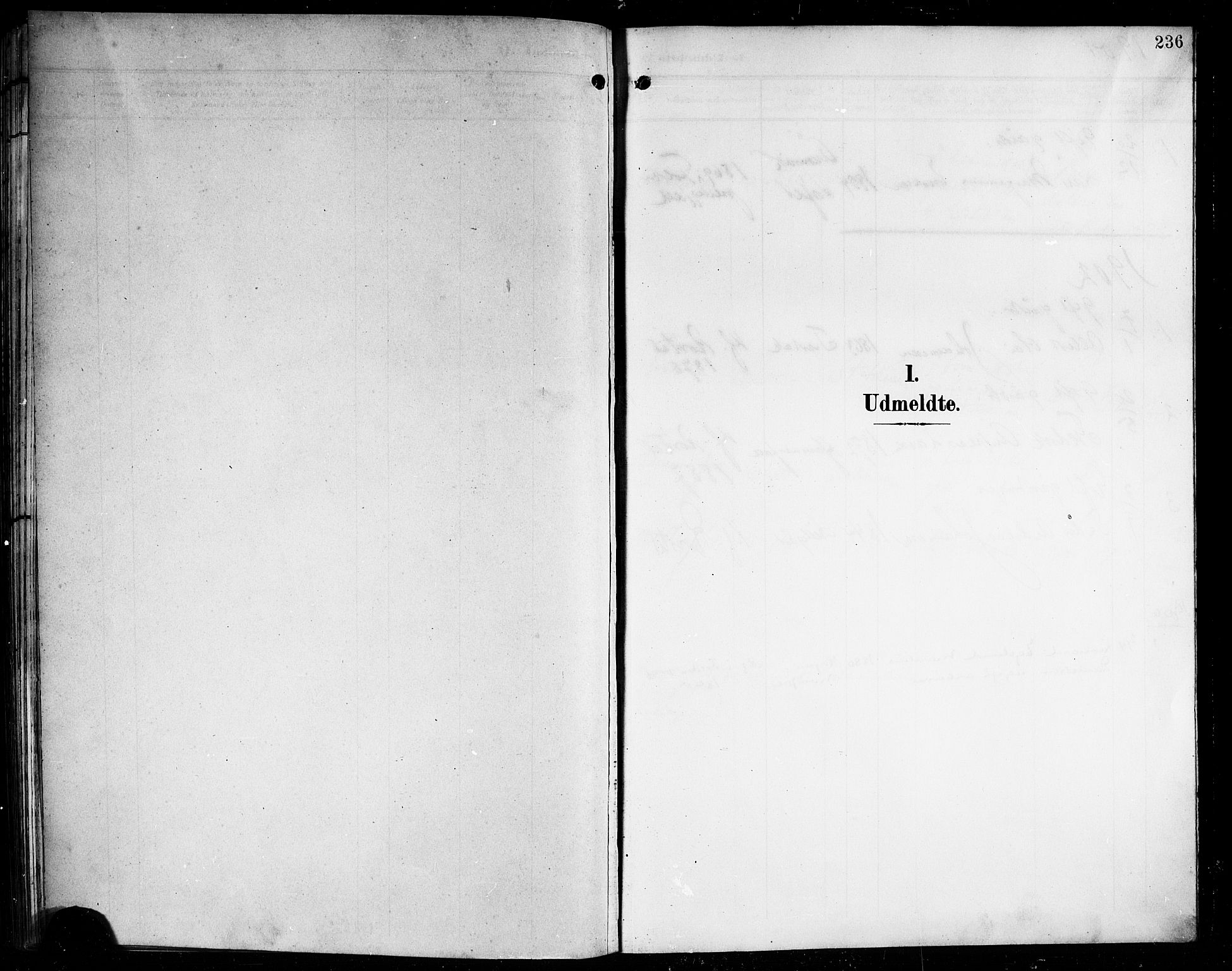 Ministerialprotokoller, klokkerbøker og fødselsregistre - Nordland, SAT/A-1459/854/L0786: Parish register (copy) no. 854C02, 1901-1912, p. 236