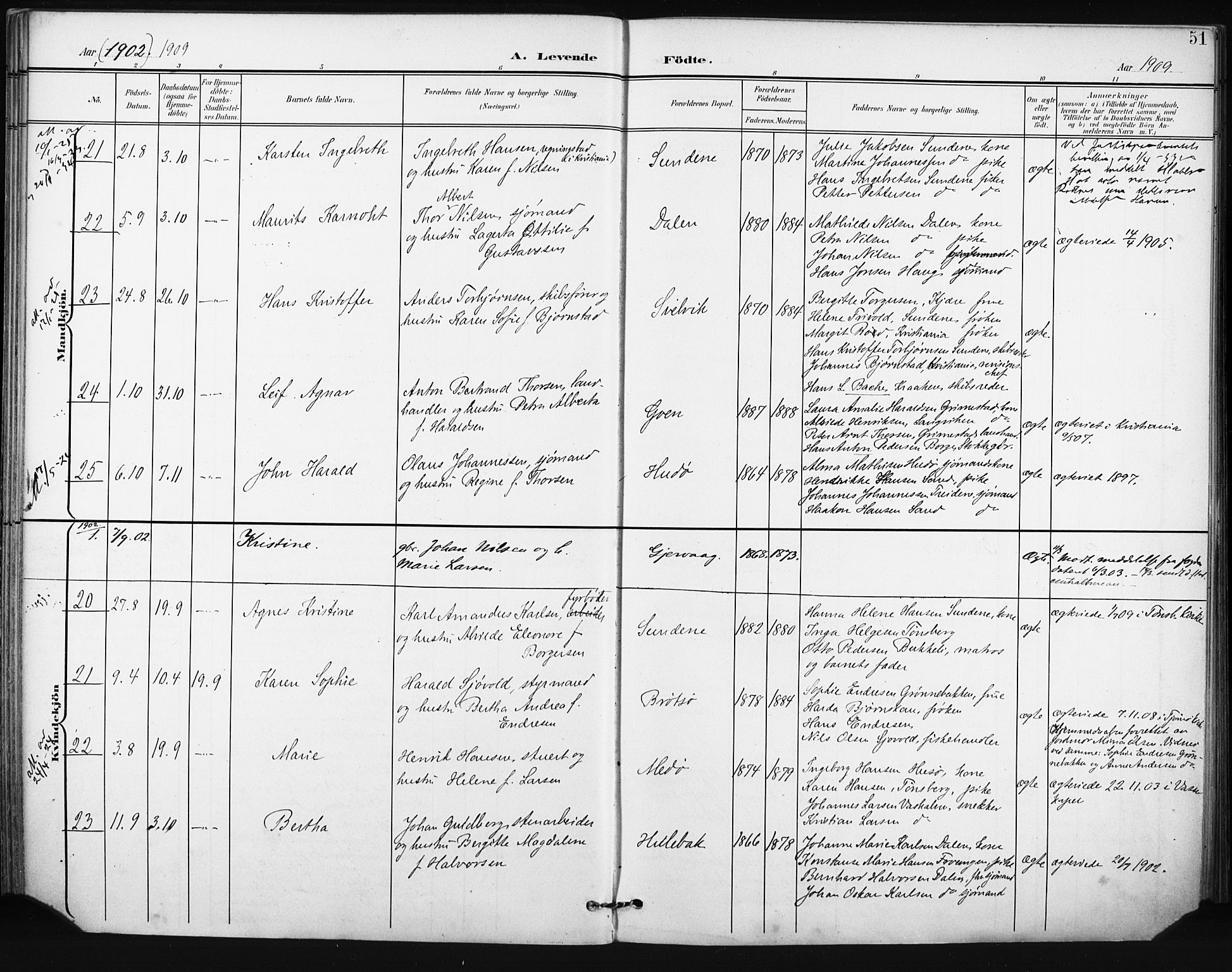 Tjøme kirkebøker, AV/SAKO-A-328/F/Fa/L0005: Parish register (official) no. I 5, 1901-1909, p. 51