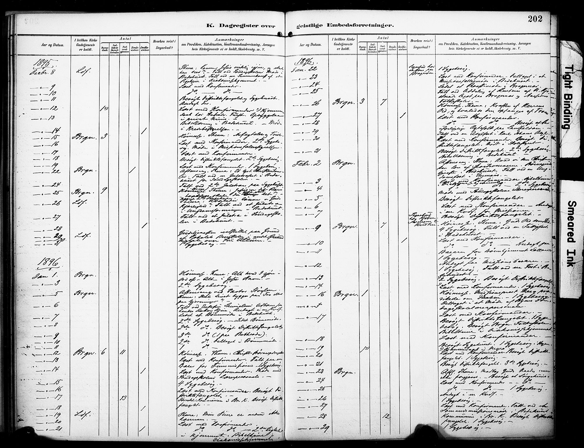 Bragernes kirkebøker, SAKO/A-6/F/Fc/L0006: Parish register (official) no. III 6, 1888-1899, p. 202
