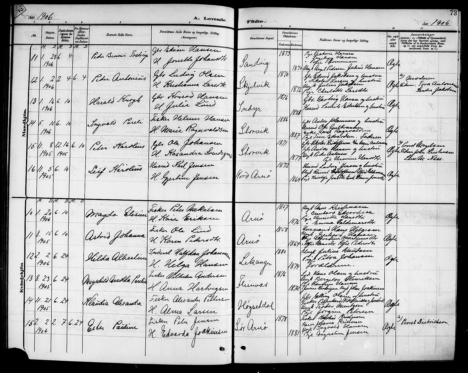 Ministerialprotokoller, klokkerbøker og fødselsregistre - Nordland, AV/SAT-A-1459/805/L0109: Parish register (copy) no. 805C05, 1900-1911, p. 73