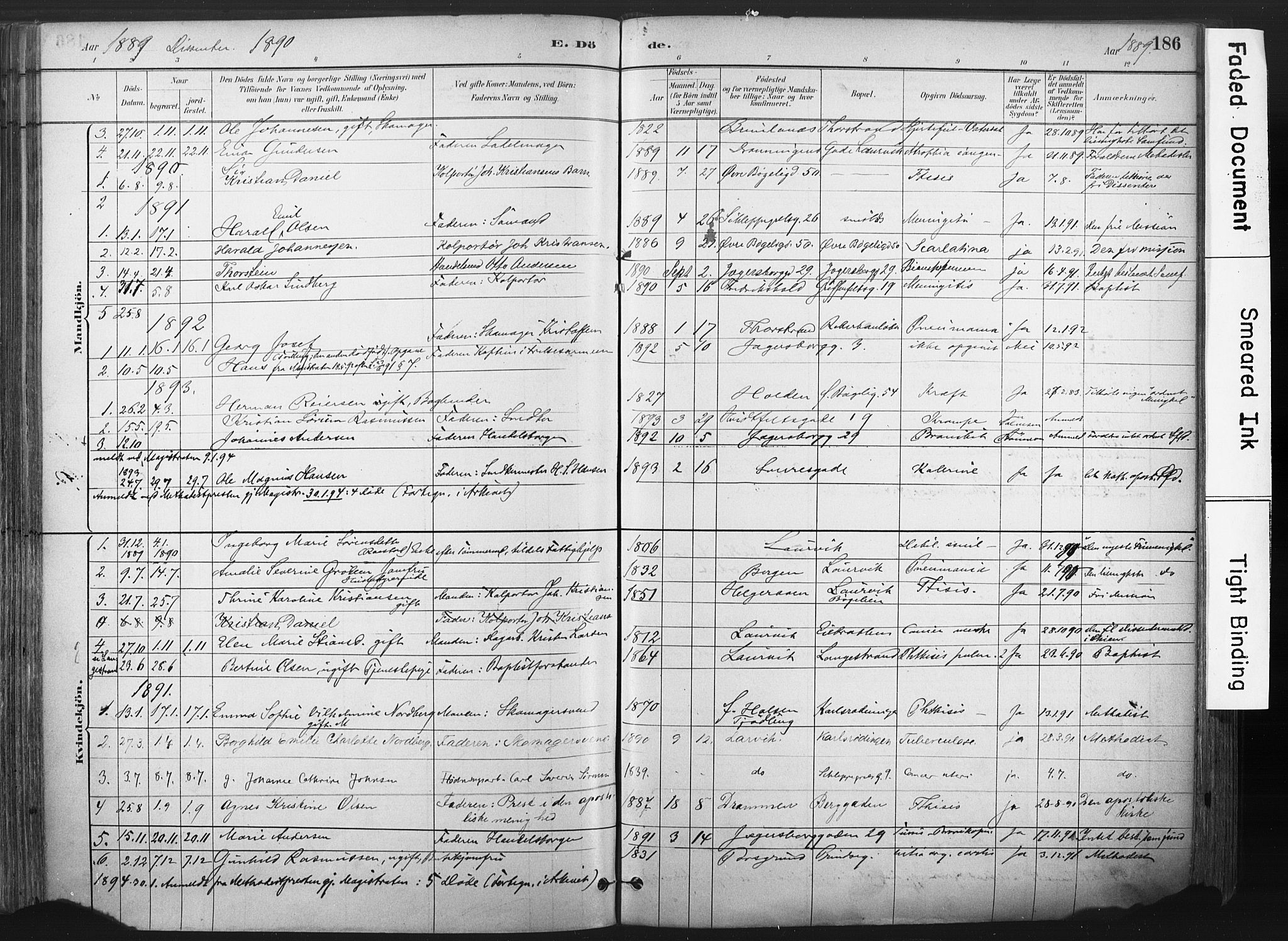 Larvik kirkebøker, SAKO/A-352/F/Fa/L0010: Parish register (official) no. I 10, 1884-1910, p. 186