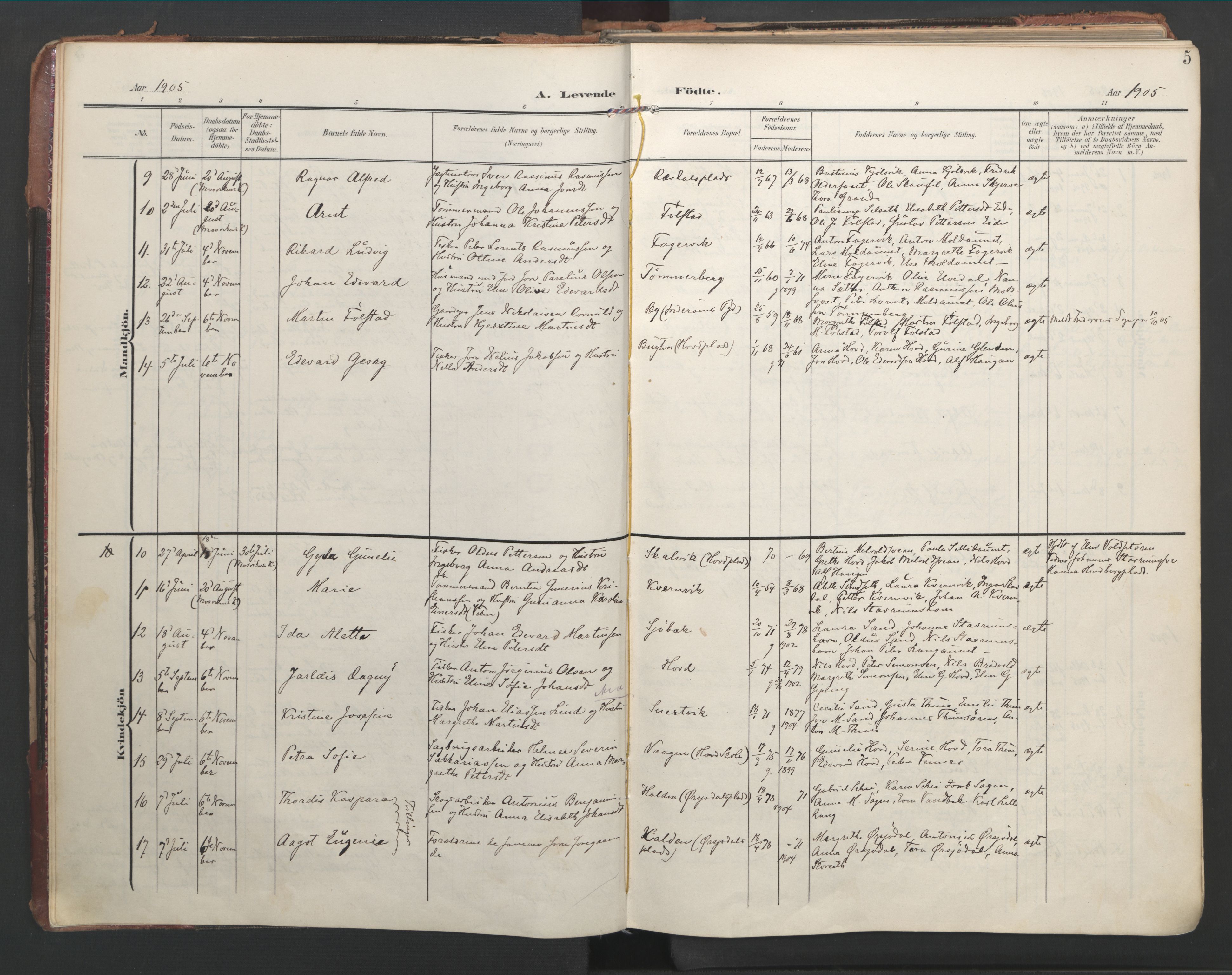 Ministerialprotokoller, klokkerbøker og fødselsregistre - Nord-Trøndelag, AV/SAT-A-1458/744/L0421: Parish register (official) no. 744A05, 1905-1930, p. 5