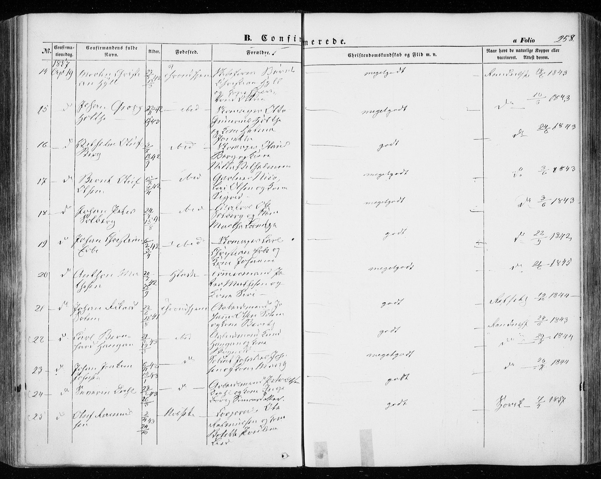 Ministerialprotokoller, klokkerbøker og fødselsregistre - Sør-Trøndelag, AV/SAT-A-1456/601/L0051: Parish register (official) no. 601A19, 1848-1857, p. 258
