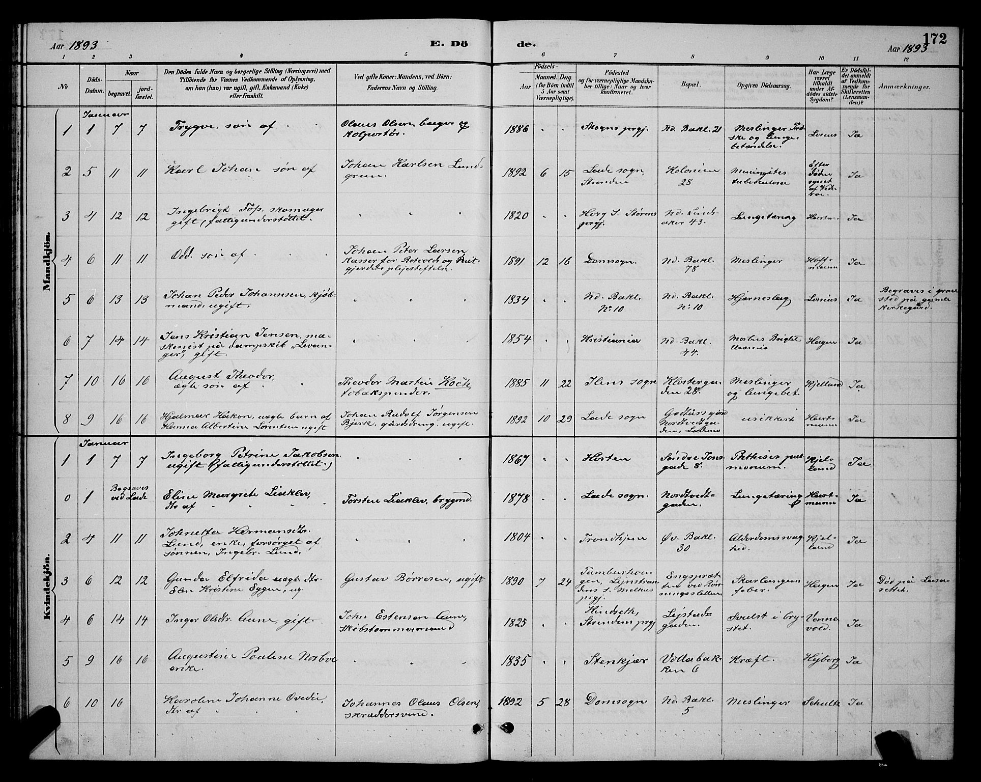 Ministerialprotokoller, klokkerbøker og fødselsregistre - Sør-Trøndelag, SAT/A-1456/604/L0223: Parish register (copy) no. 604C06, 1886-1897, p. 172