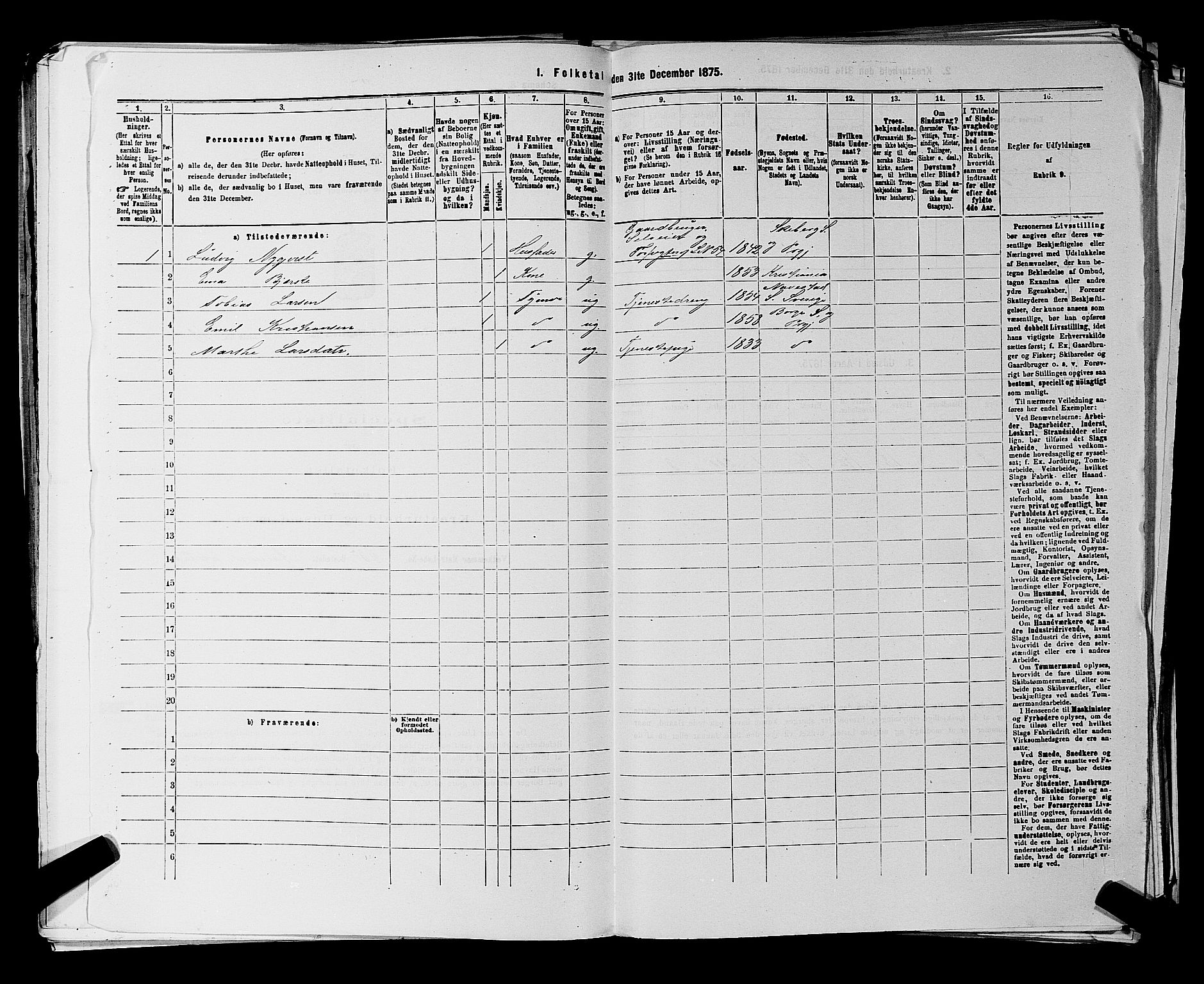 RA, 1875 census for 0113P Borge, 1875, p. 812