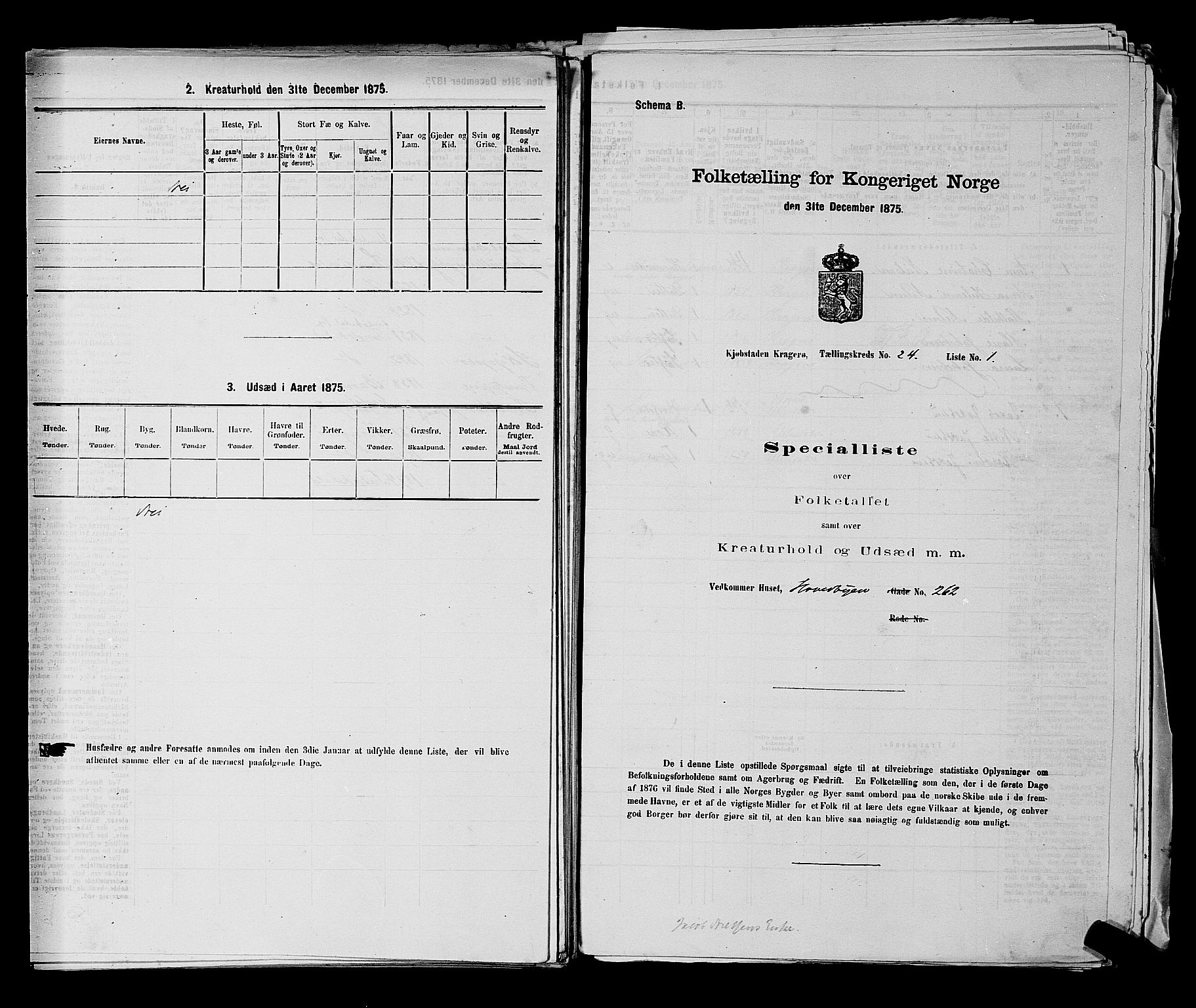 SAKO, 1875 census for 0801P Kragerø, 1875, p. 511