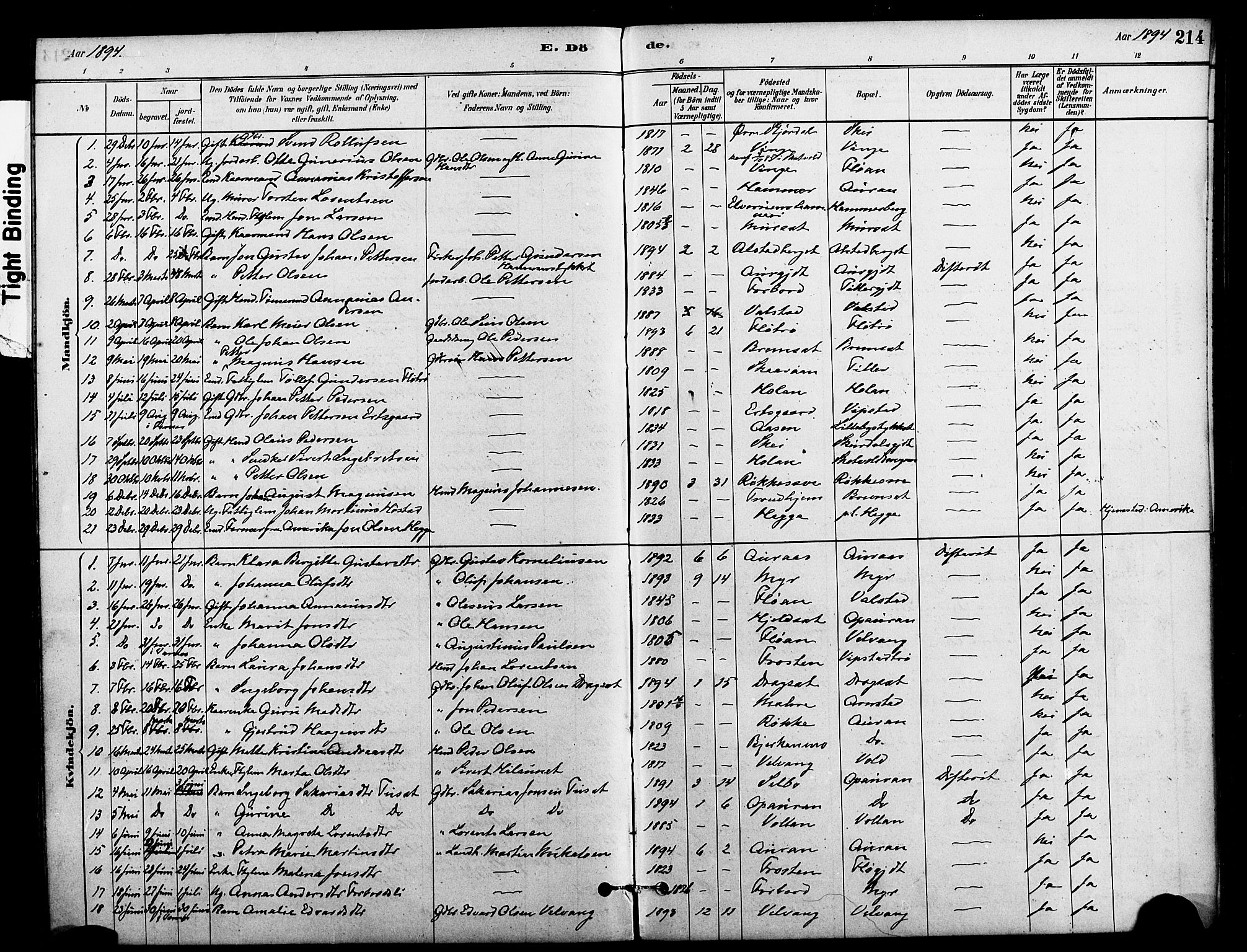 Ministerialprotokoller, klokkerbøker og fødselsregistre - Nord-Trøndelag, AV/SAT-A-1458/712/L0100: Parish register (official) no. 712A01, 1880-1900, p. 214