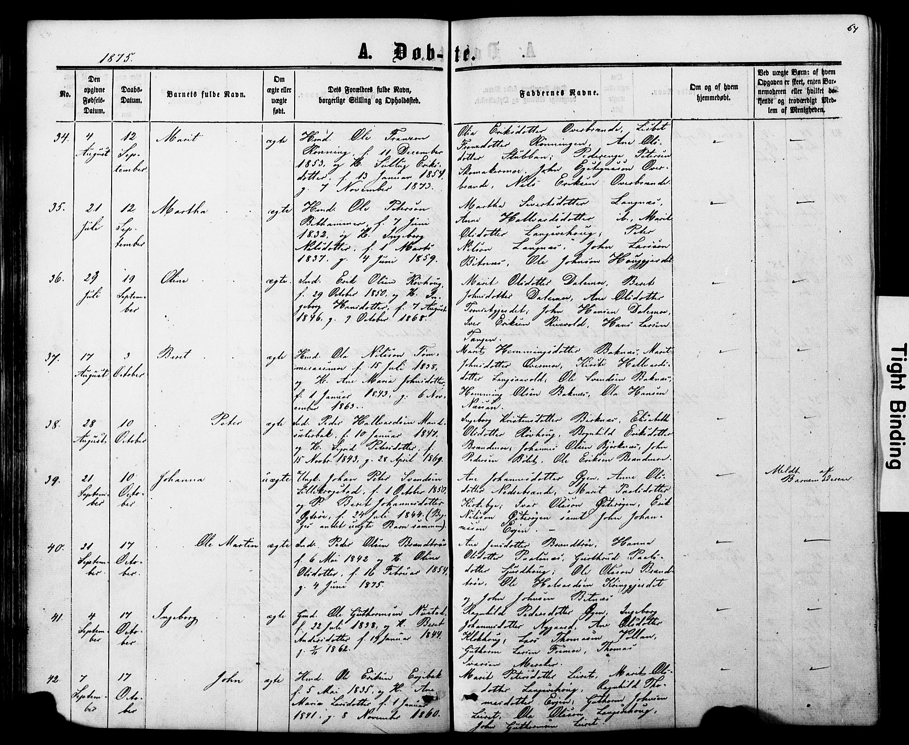 Ministerialprotokoller, klokkerbøker og fødselsregistre - Nord-Trøndelag, AV/SAT-A-1458/706/L0049: Parish register (copy) no. 706C01, 1864-1895, p. 64