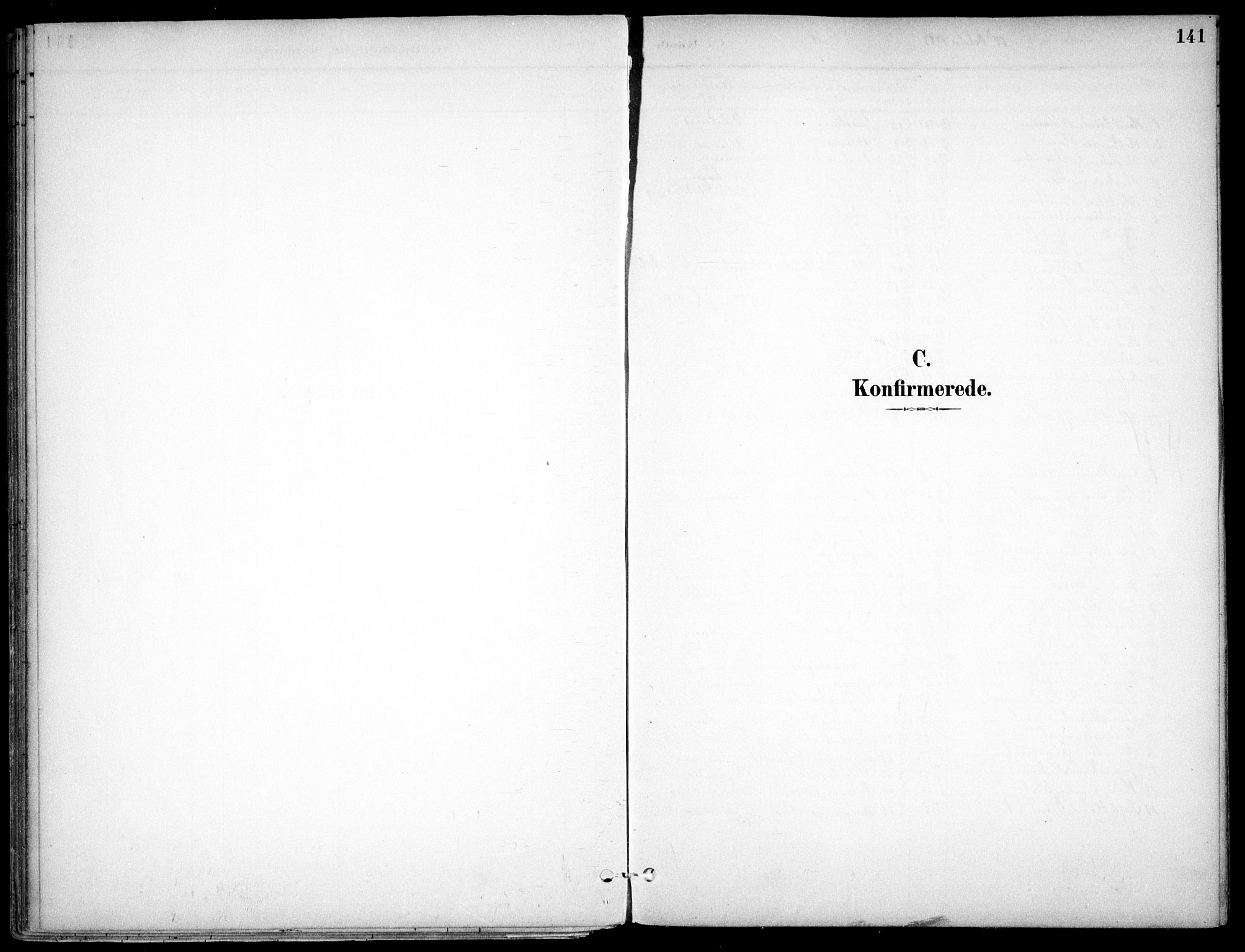 Nes prestekontor Kirkebøker, AV/SAO-A-10410/F/Fc/L0002: Parish register (official) no. IIi 2, 1882-1916, p. 141