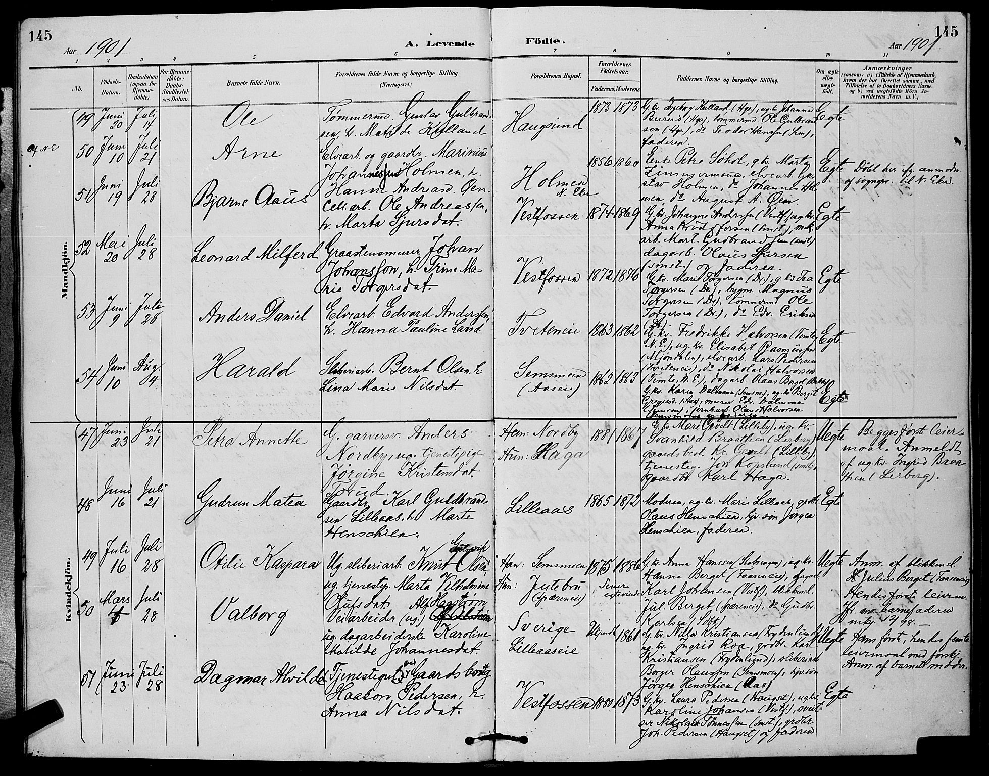 Eiker kirkebøker, AV/SAKO-A-4/G/Ga/L0007: Parish register (copy) no. I 7, 1893-1902, p. 145