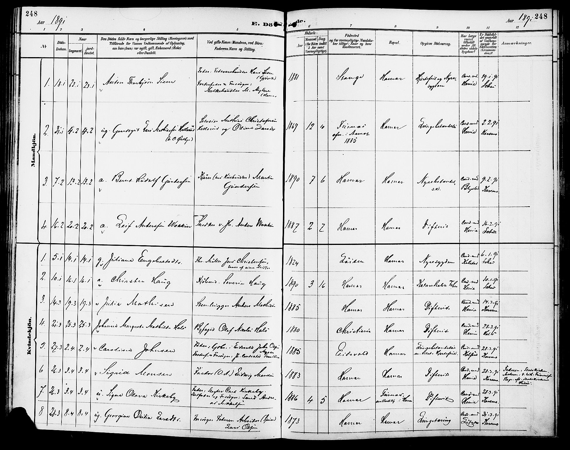 Vang prestekontor, Hedmark, SAH/PREST-008/H/Ha/Haa/L0017: Parish register (official) no. 17, 1890-1899, p. 248