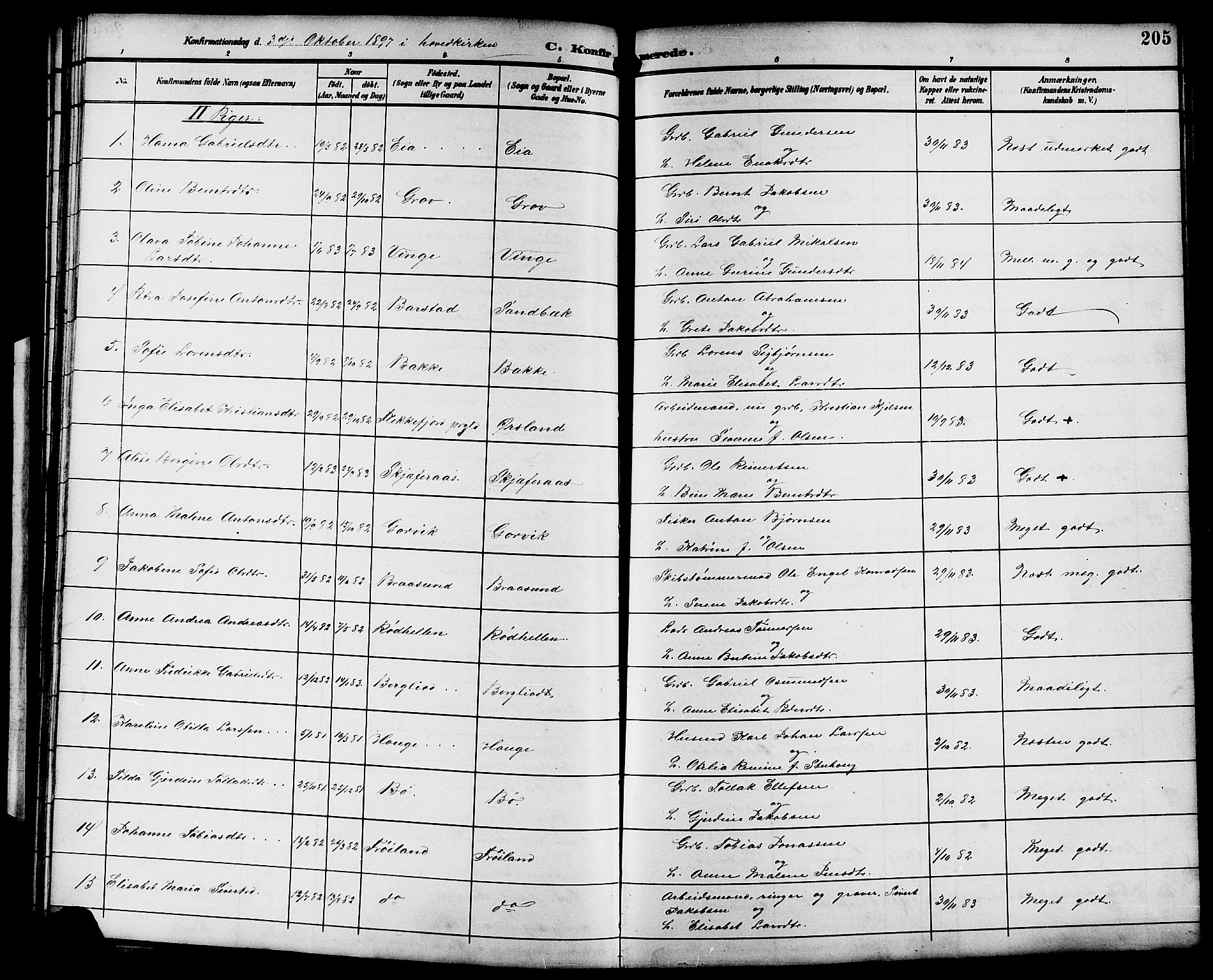 Sokndal sokneprestkontor, SAST/A-101808: Parish register (copy) no. B 6, 1892-1907, p. 205