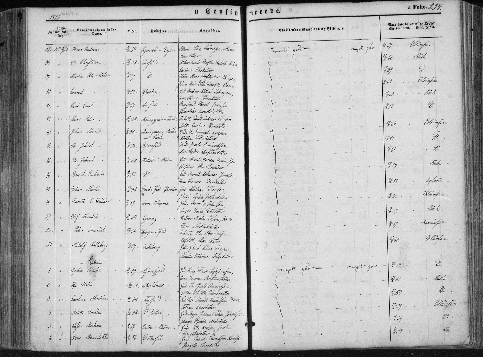 Lista sokneprestkontor, AV/SAK-1111-0027/F/Fa/L0011: Parish register (official) no. A 11, 1861-1878, p. 294