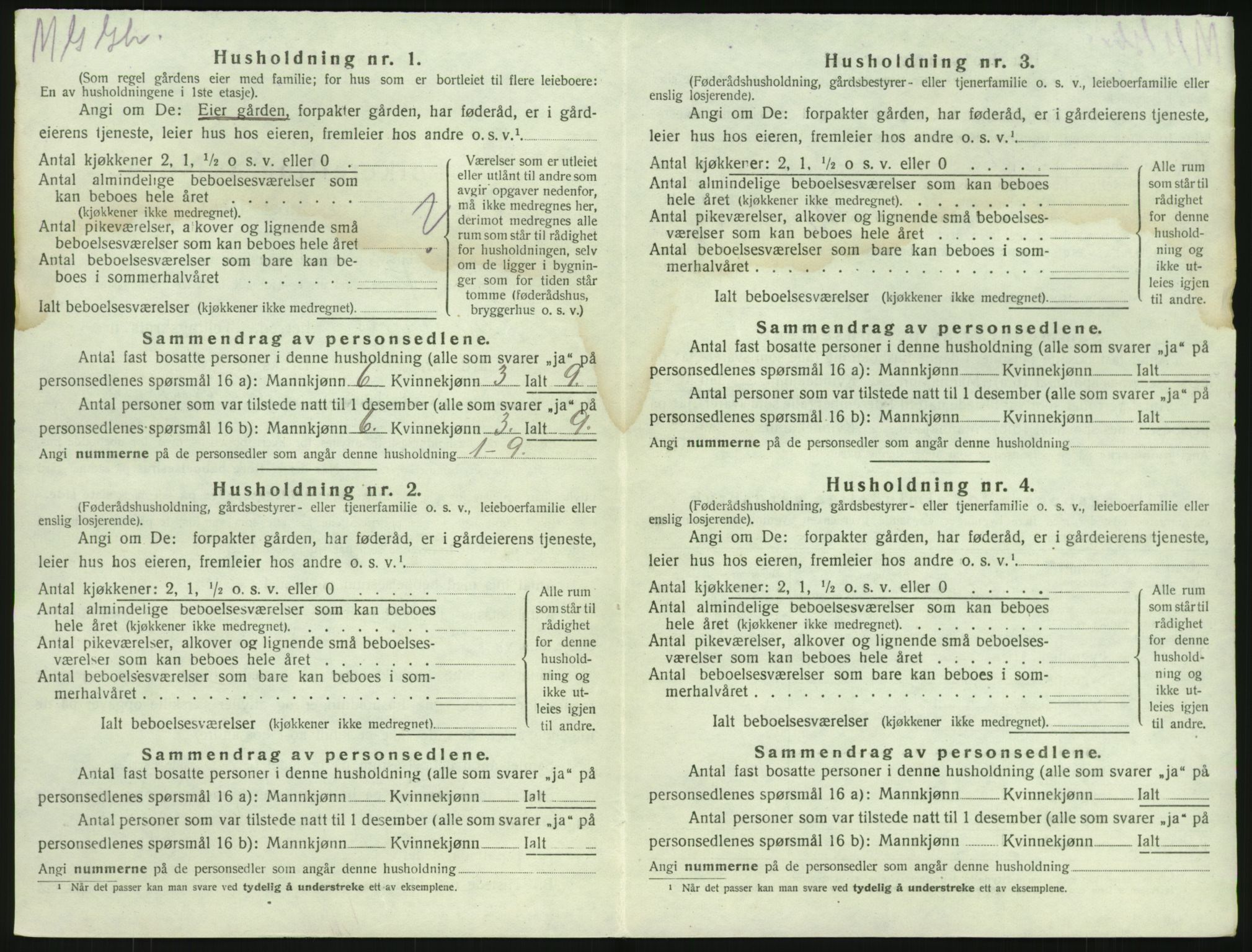 SAKO, 1920 census for Brunlanes, 1920, p. 318