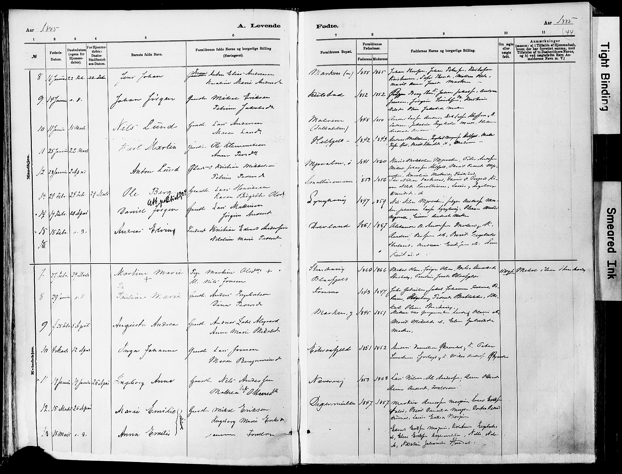 Ministerialprotokoller, klokkerbøker og fødselsregistre - Nordland, SAT/A-1459/820/L0295: Parish register (official) no. 820A16, 1880-1896, p. 44