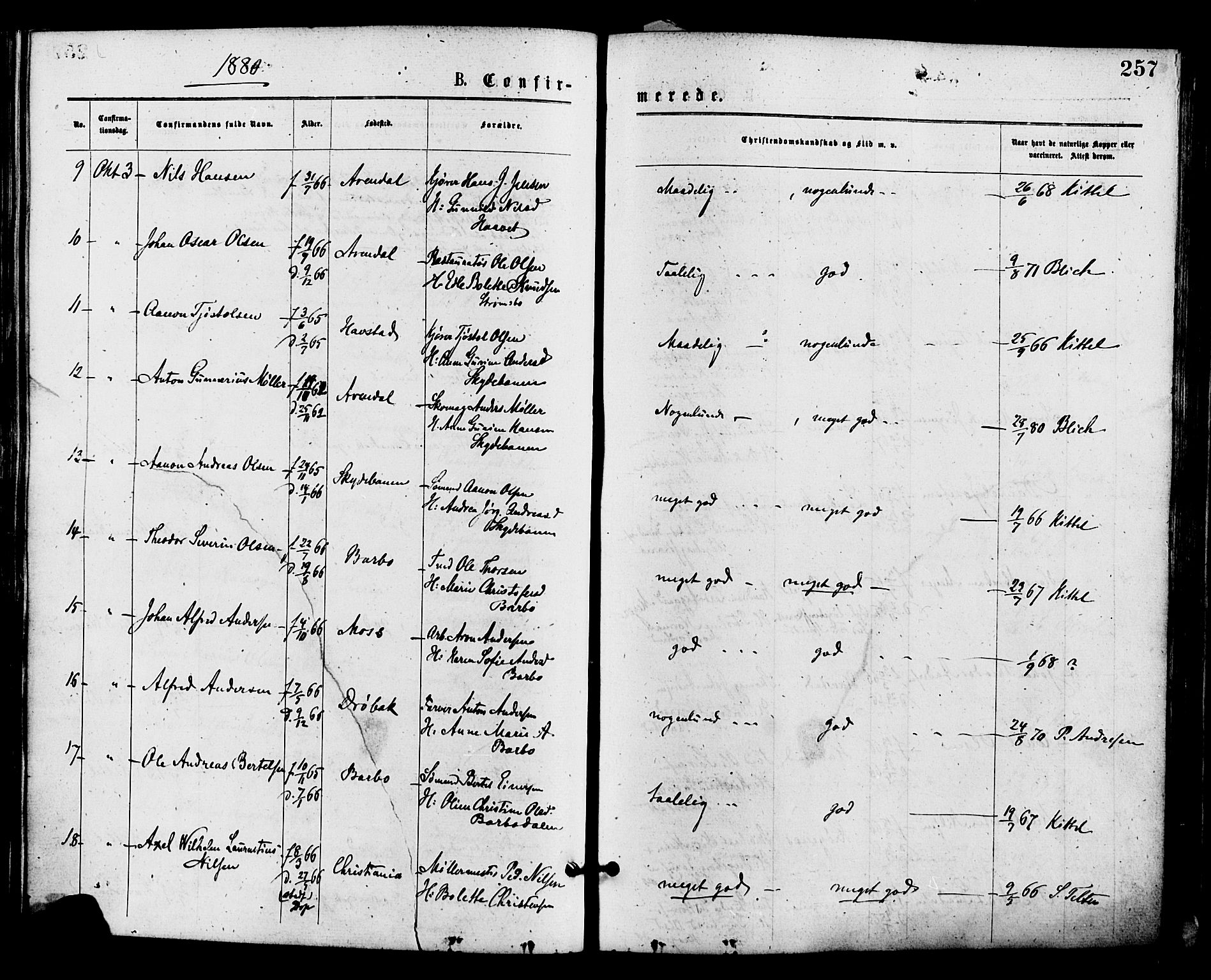 Barbu sokneprestkontor, AV/SAK-1111-0003/F/Fa/L0001: Parish register (official) no. A 1 /1, 1878-1883, p. 257