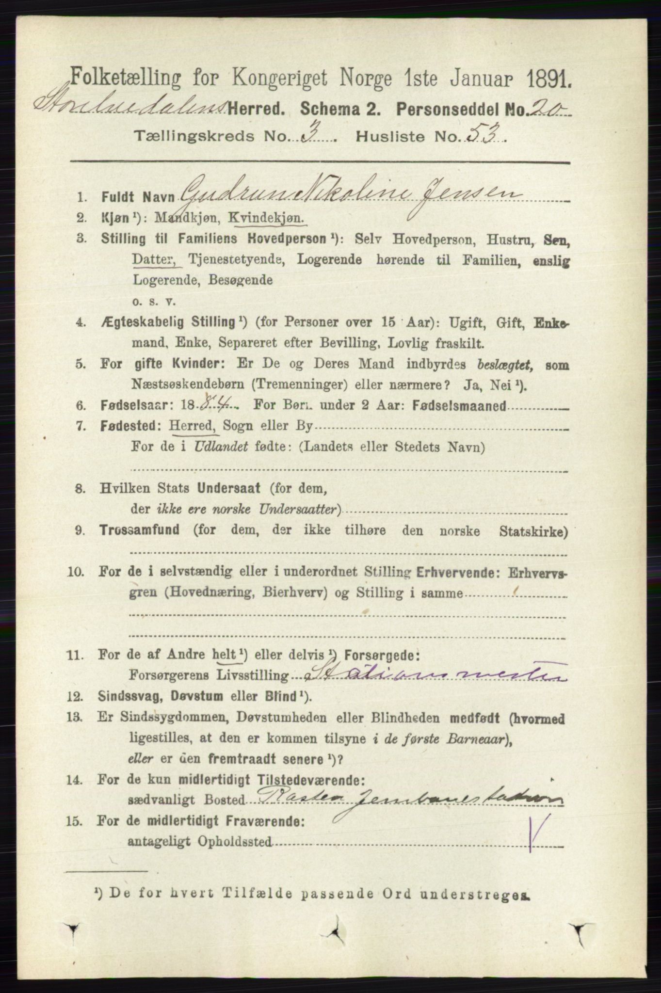 RA, 1891 census for 0430 Stor-Elvdal, 1891, p. 1223
