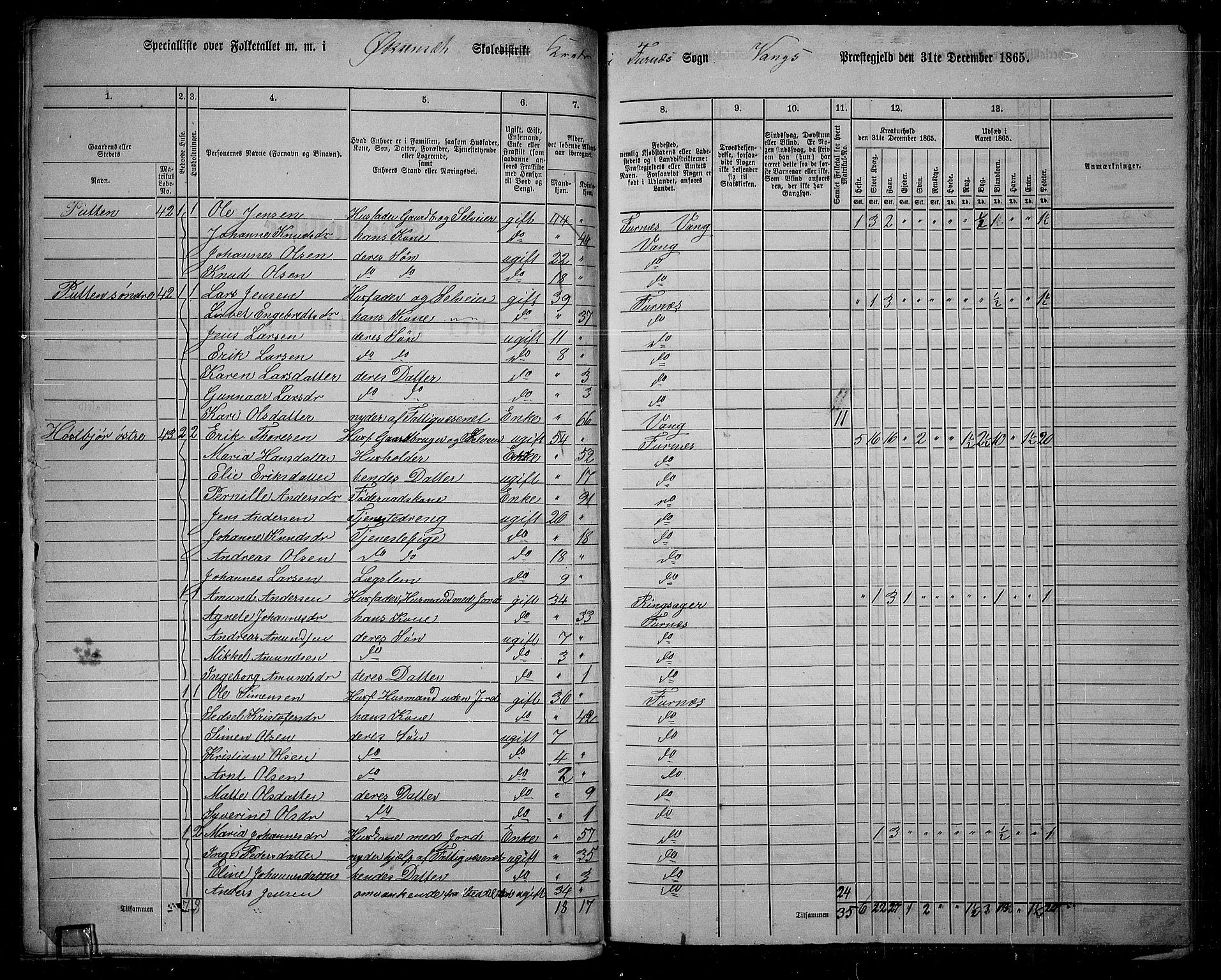 RA, 1865 census for Vang/Vang og Furnes, 1865, p. 48