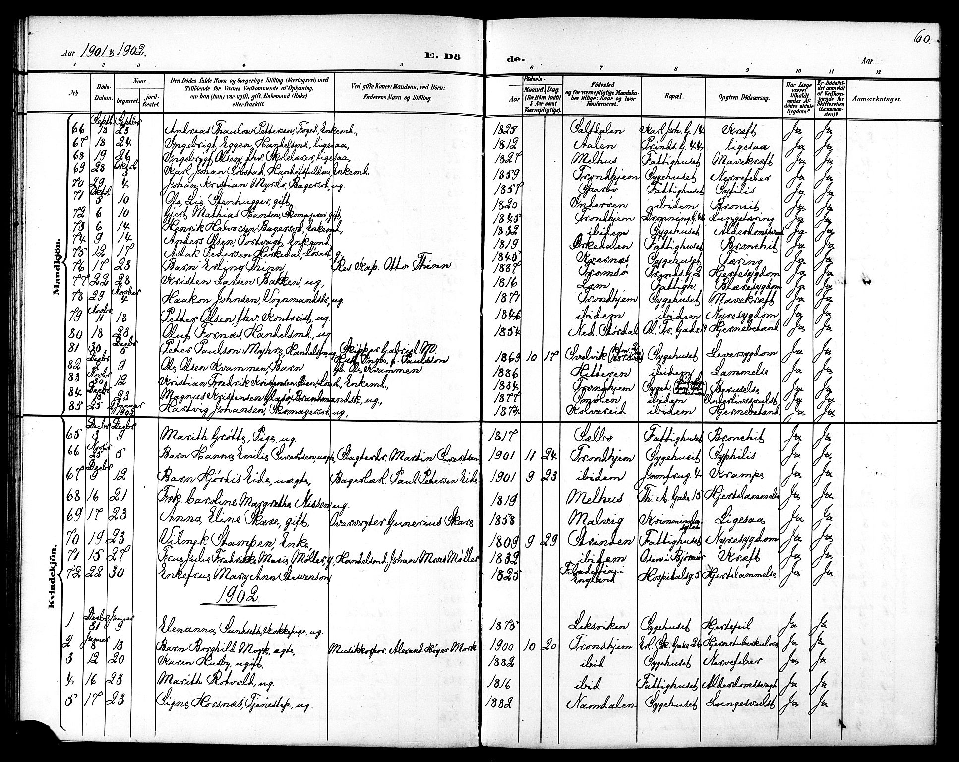 Ministerialprotokoller, klokkerbøker og fødselsregistre - Sør-Trøndelag, SAT/A-1456/602/L0144: Parish register (copy) no. 602C12, 1897-1905, p. 60